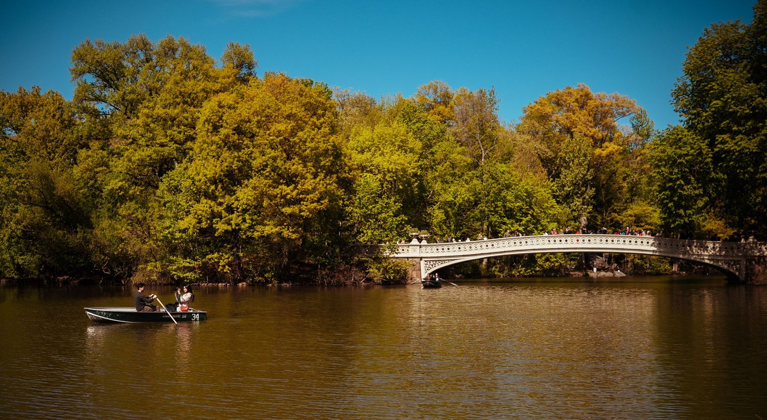 Couple rowing a boat on a serene lake near Bow Bridge in Central Park during autumn.