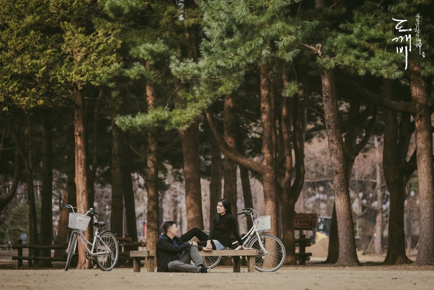 Couple relaxing on a park bench with bicycles among tall pine trees in a serene forest setting.