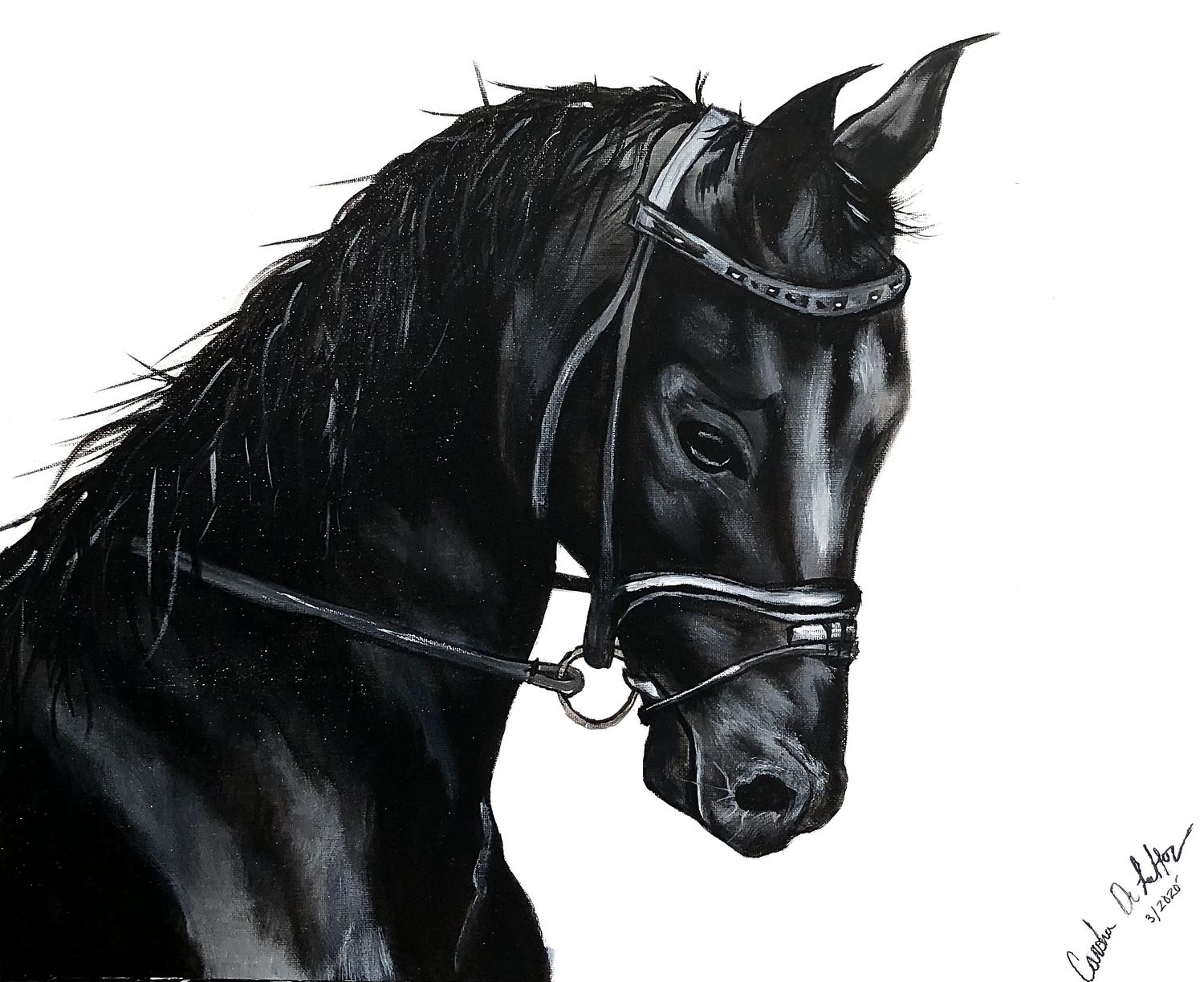 Hand painted black and white detailed painting of a majestic horse wearing a bridle with flowing dark mane in profile view.