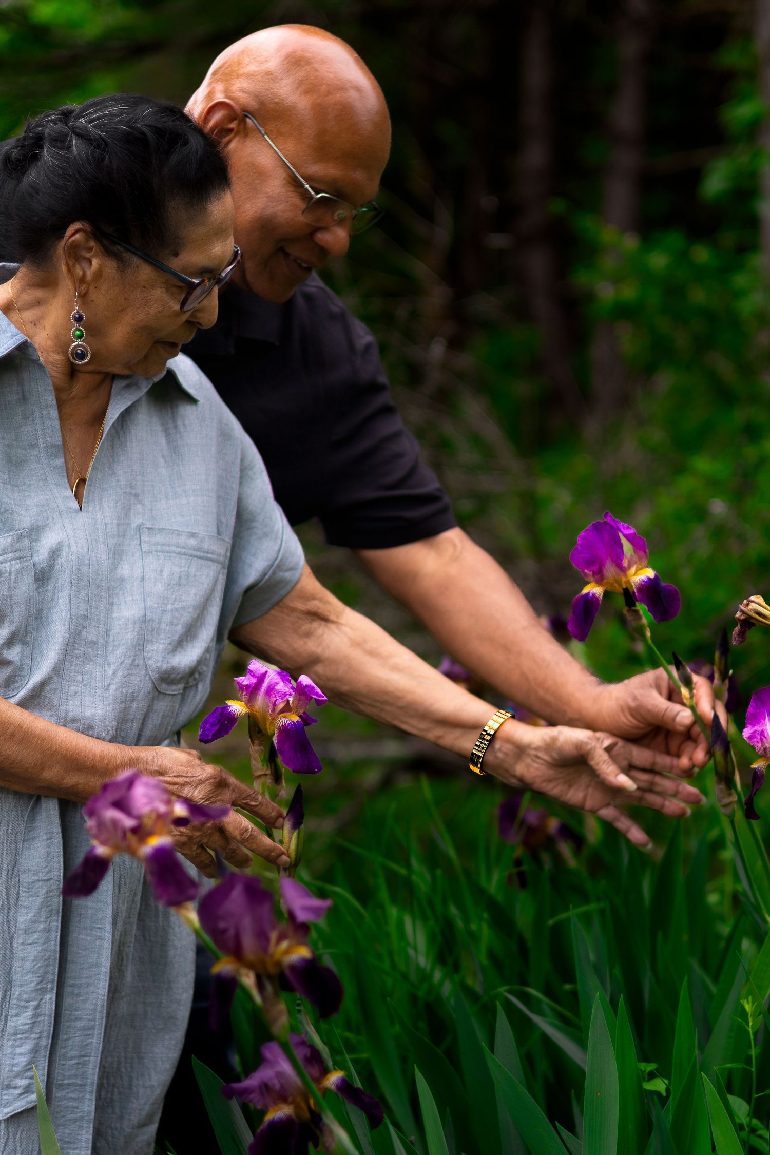 A couple tends to vibrant purple iris flowers growing in their garden on a spring day.