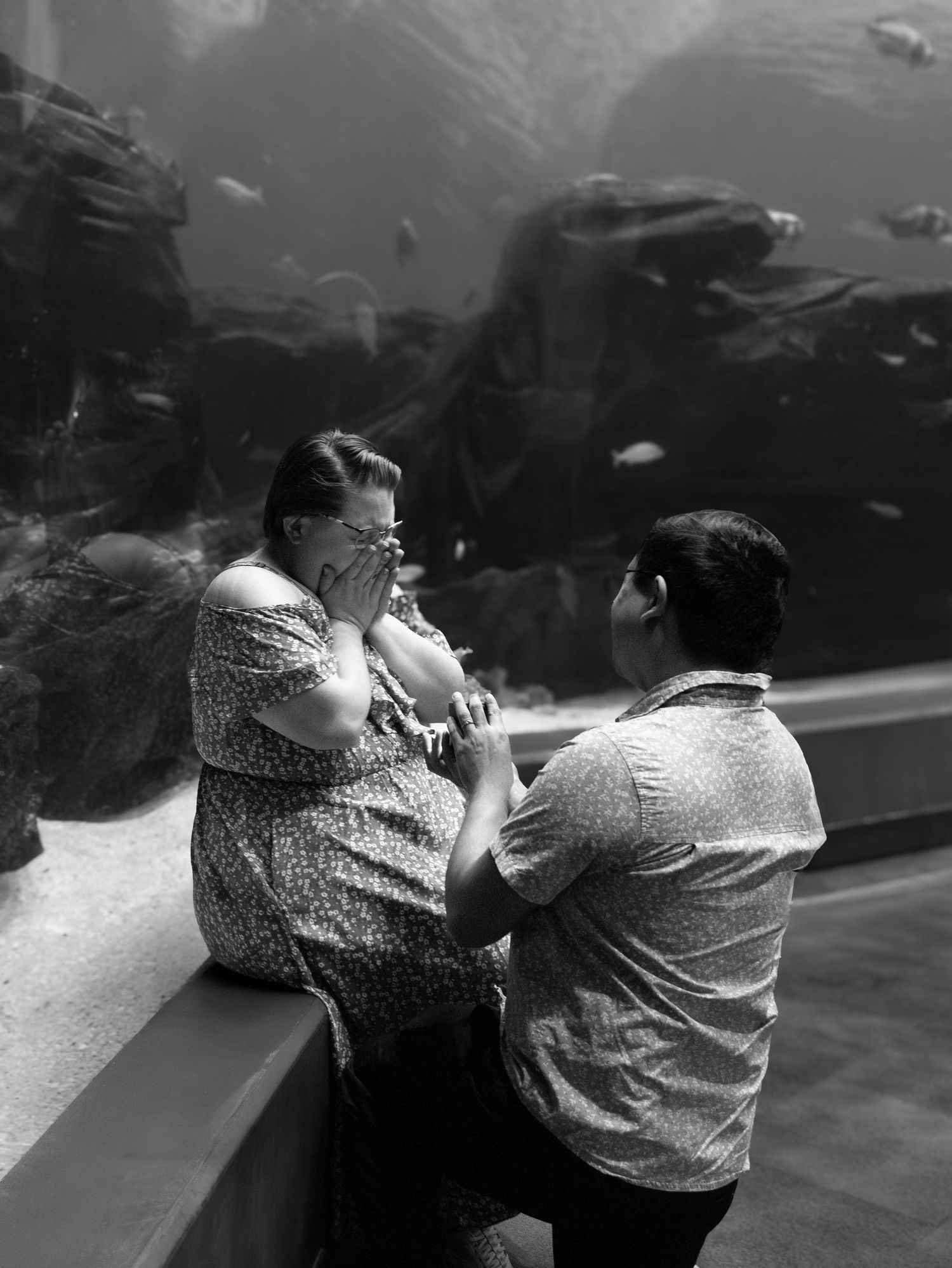 Man proposes to woman at aquarium in black and white photo, fish tank visible behind them.