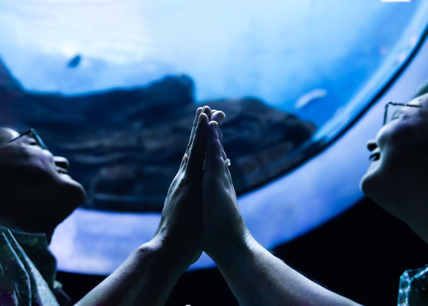 Two people pressing their hands together in prayer pose in front of a large aquarium tank.