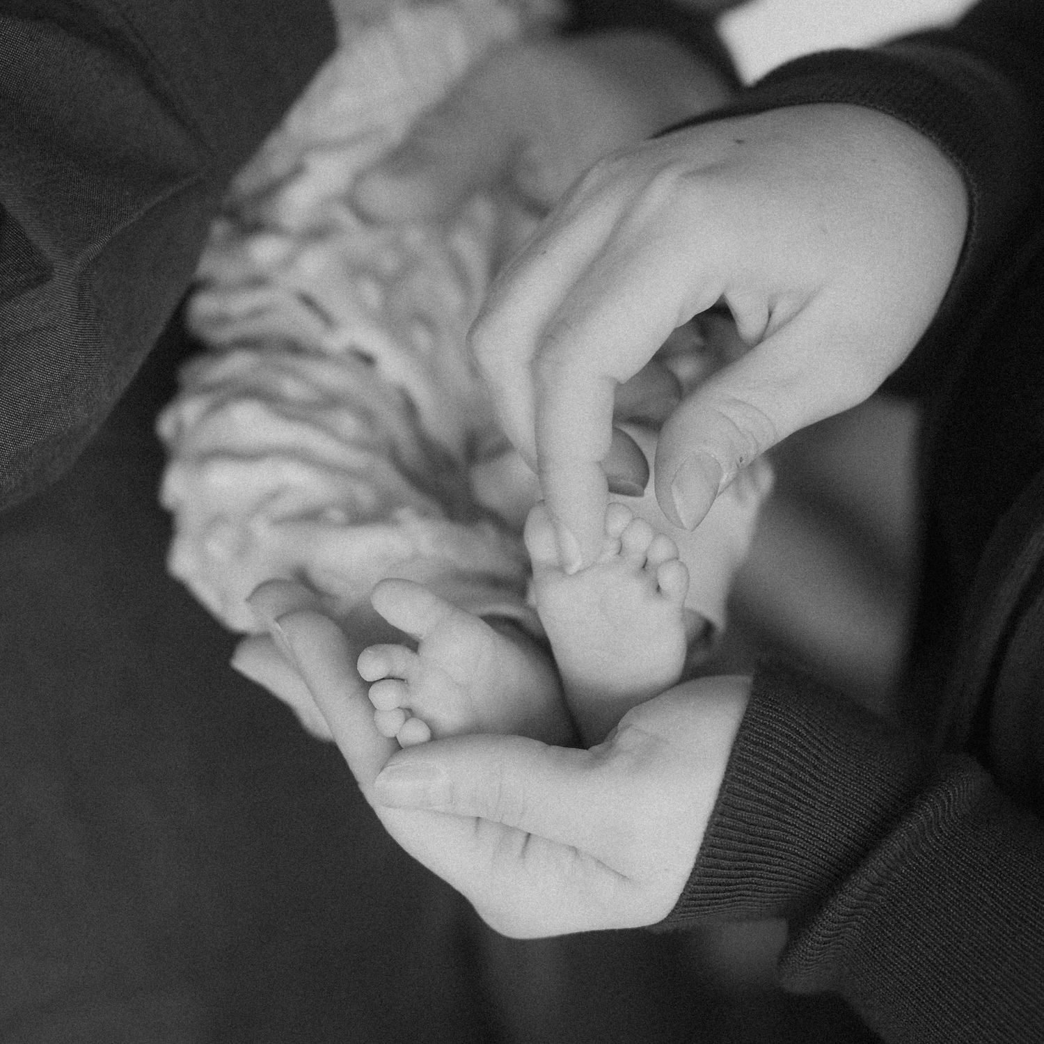 A close-up black and white photo of gentle hands holding tiny baby feet in a tender moment.