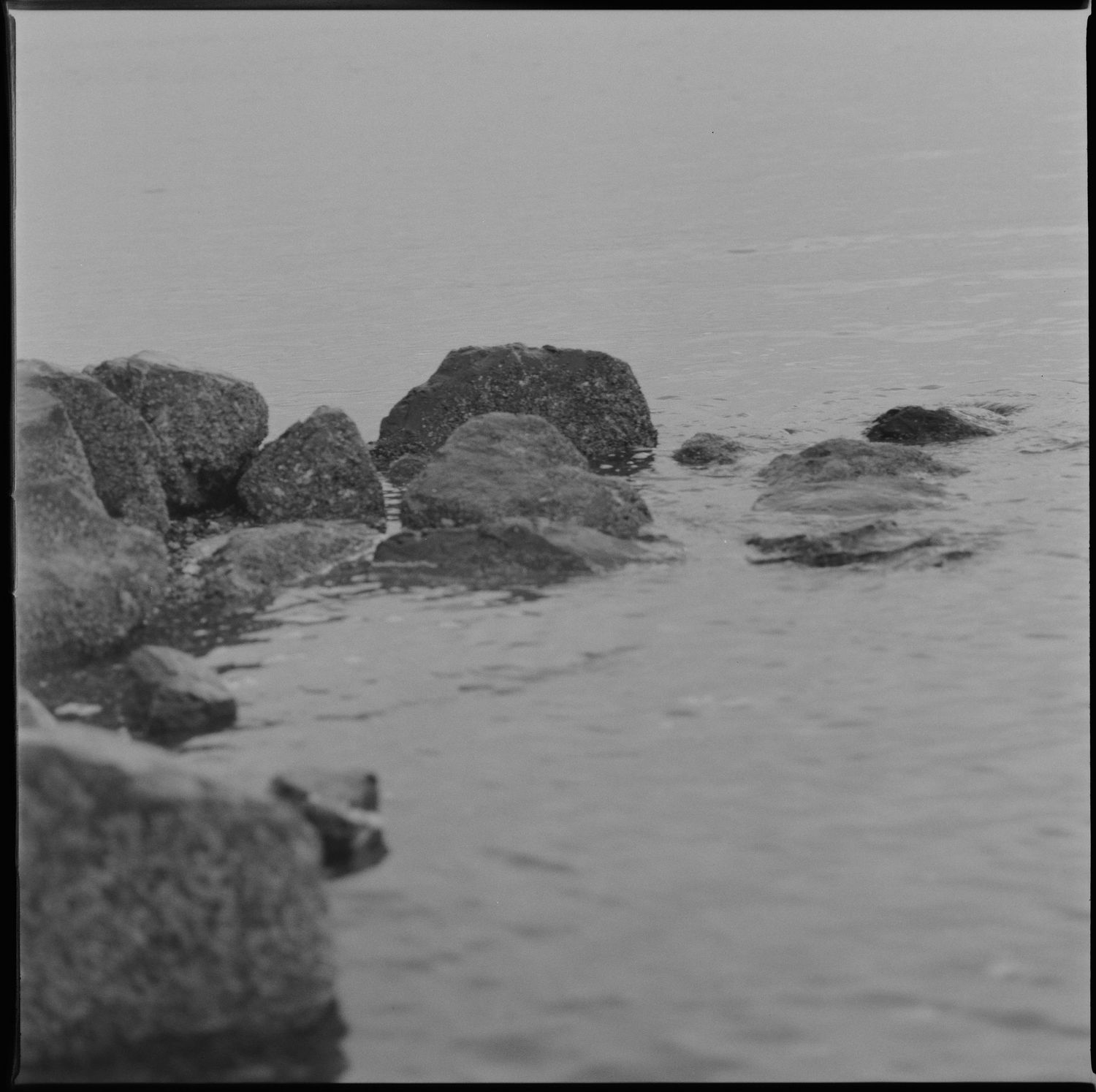 Black and white landscape photograph showing rocks scattered in shallow water along a misty shoreline.