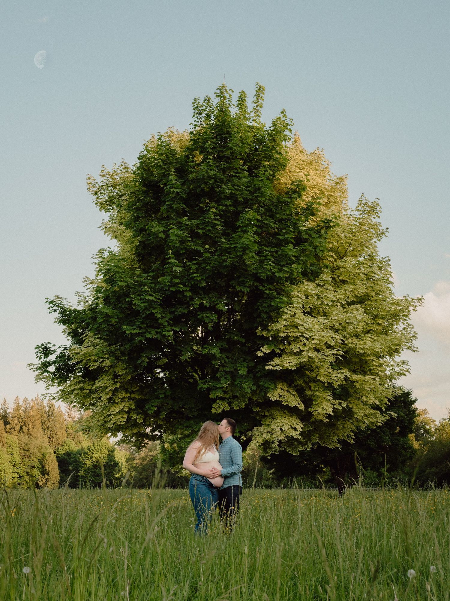Couple embracing under a large tree in a sunlit meadow during golden hour.