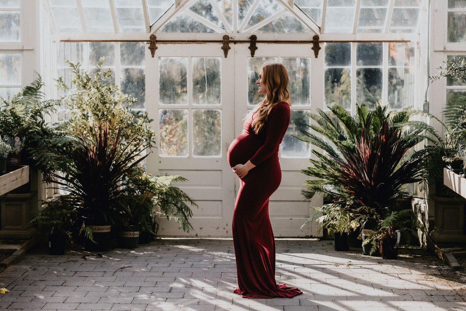 A silhouette of an expectant mother in a burgundy dress standing in a sunlit conservatory.