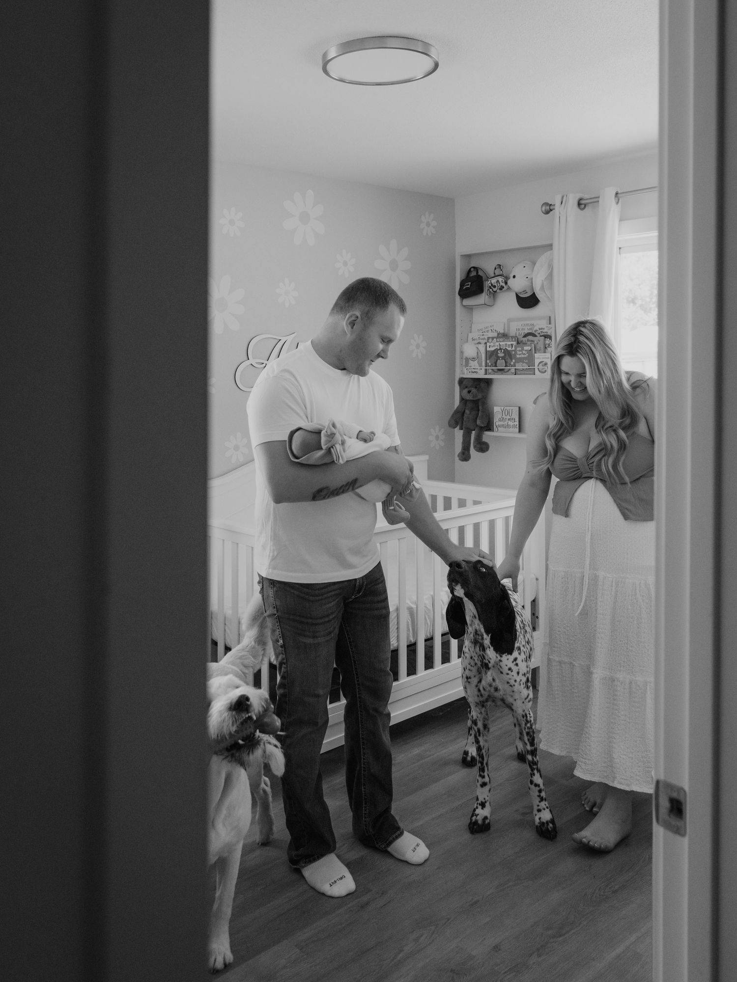 A black and white photo of people in a nursery room with a crib checking on a spotted Dalmatian dog.