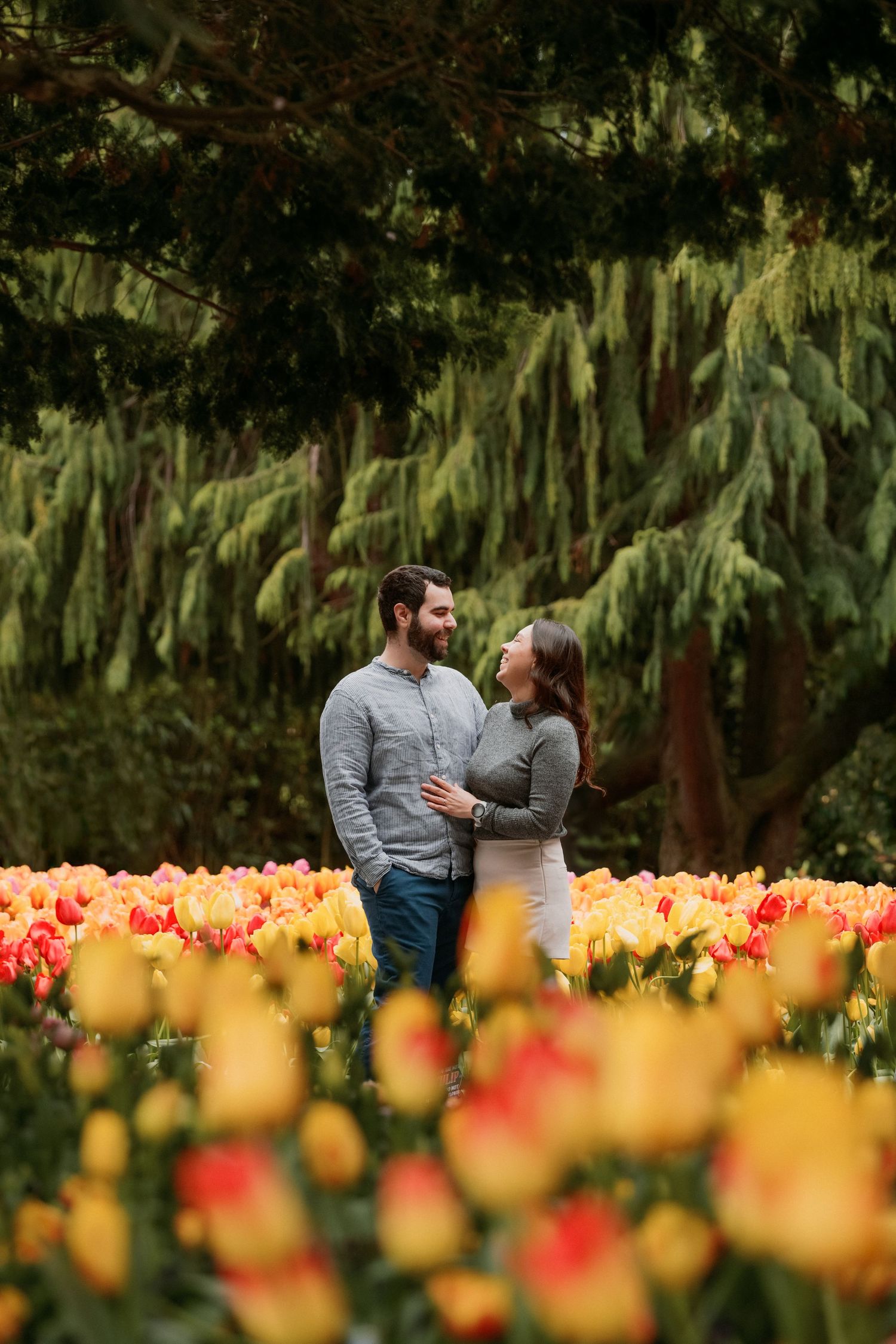 Couple shares romantic moment while standing in vibrant yellow and orange tulip field during spring bloom.