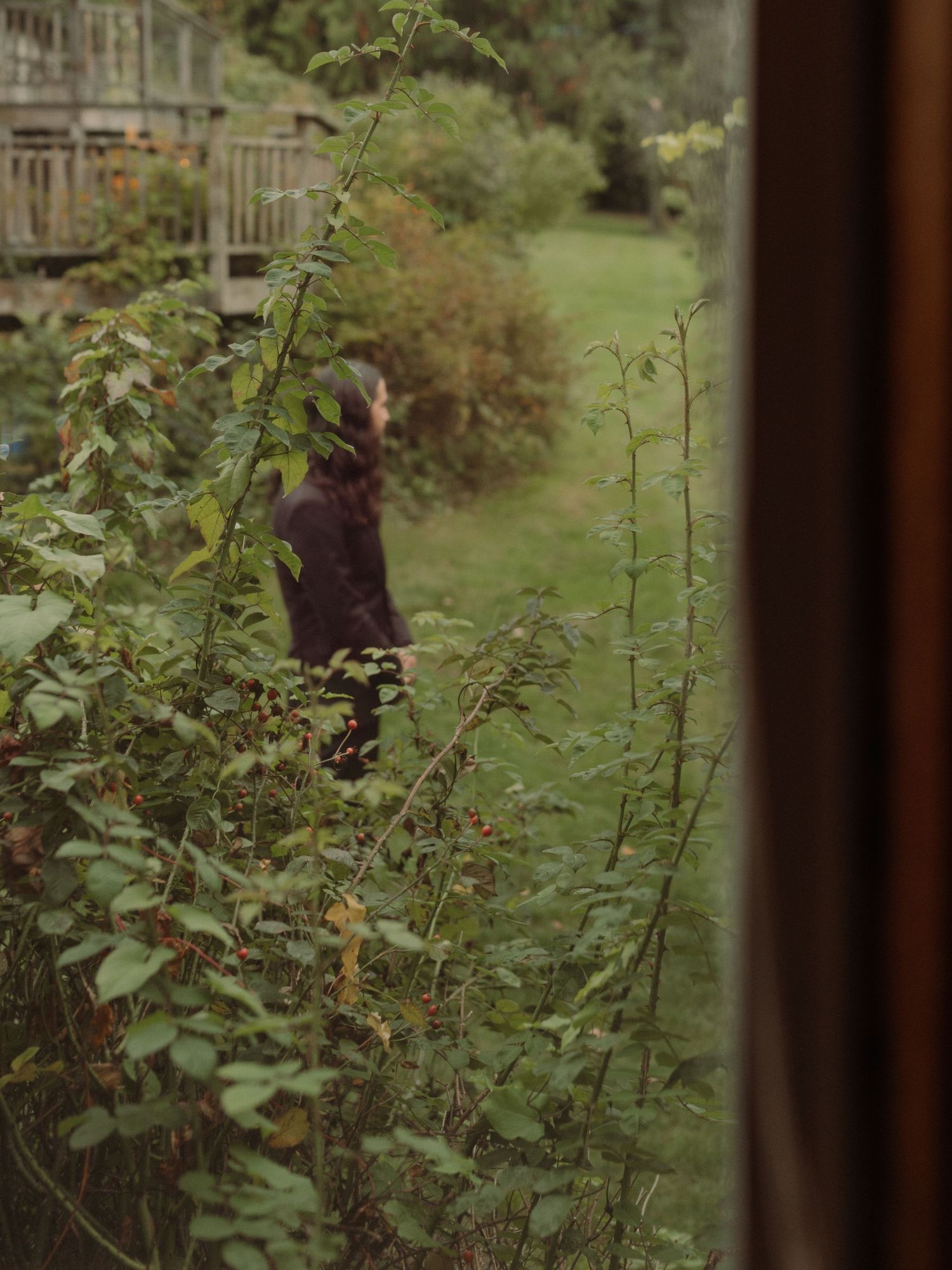 View through window of overgrown garden with dark figure in distance.