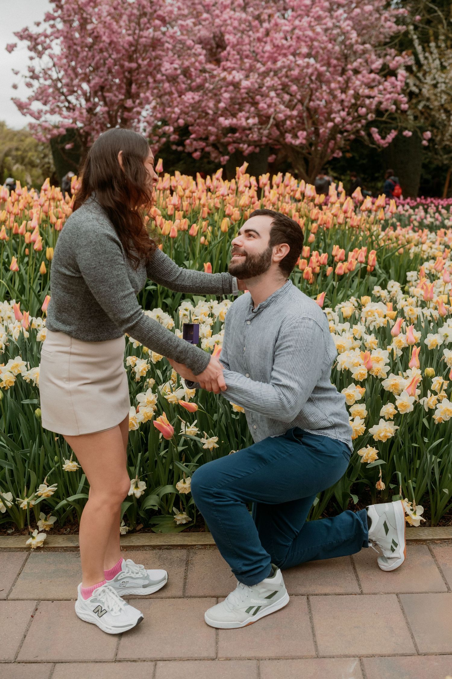 A couple engages in a romantic moment with a marriage proposal among blooming tulips and cherry blossoms in a garden.