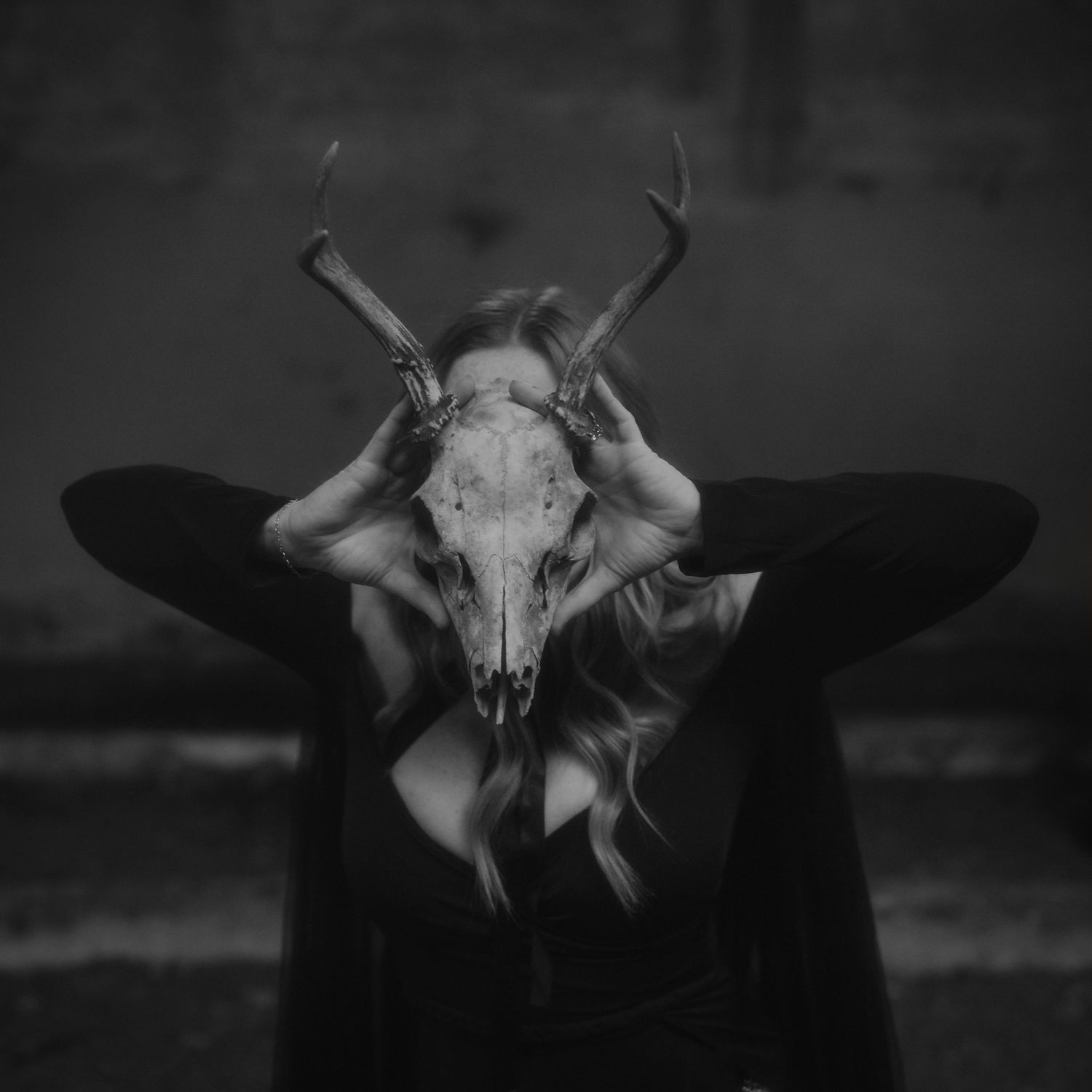 Black and white photo series showing close-ups of a deer skull against a dark background in different poses and angles.