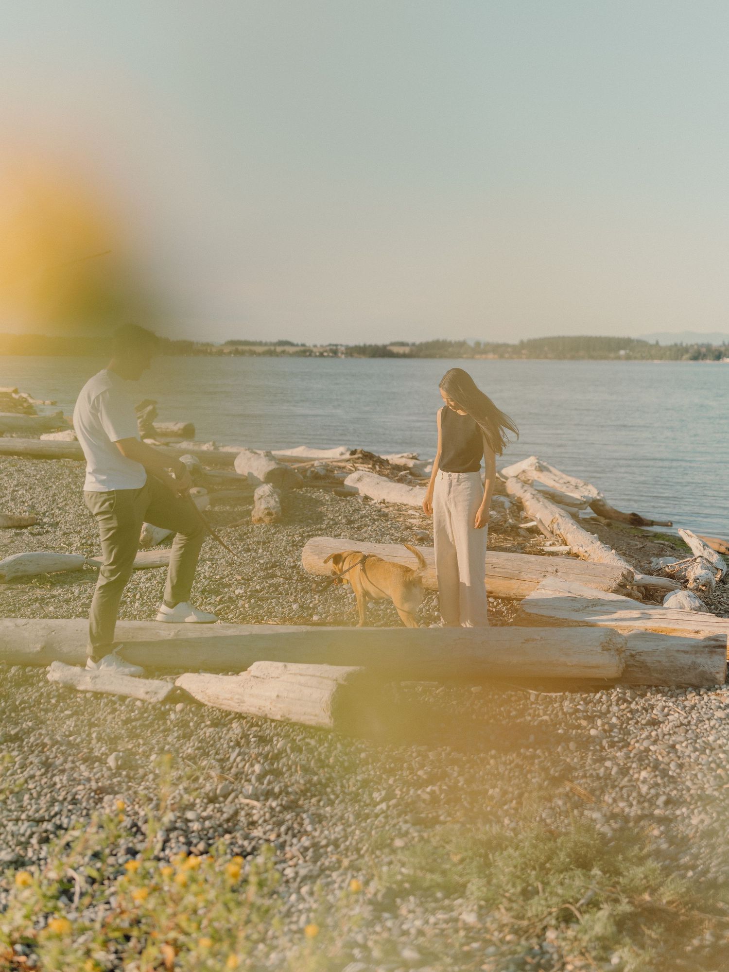 Two people and a dog enjoy golden hour on a driftwood-lined rocky beach beside calm water.