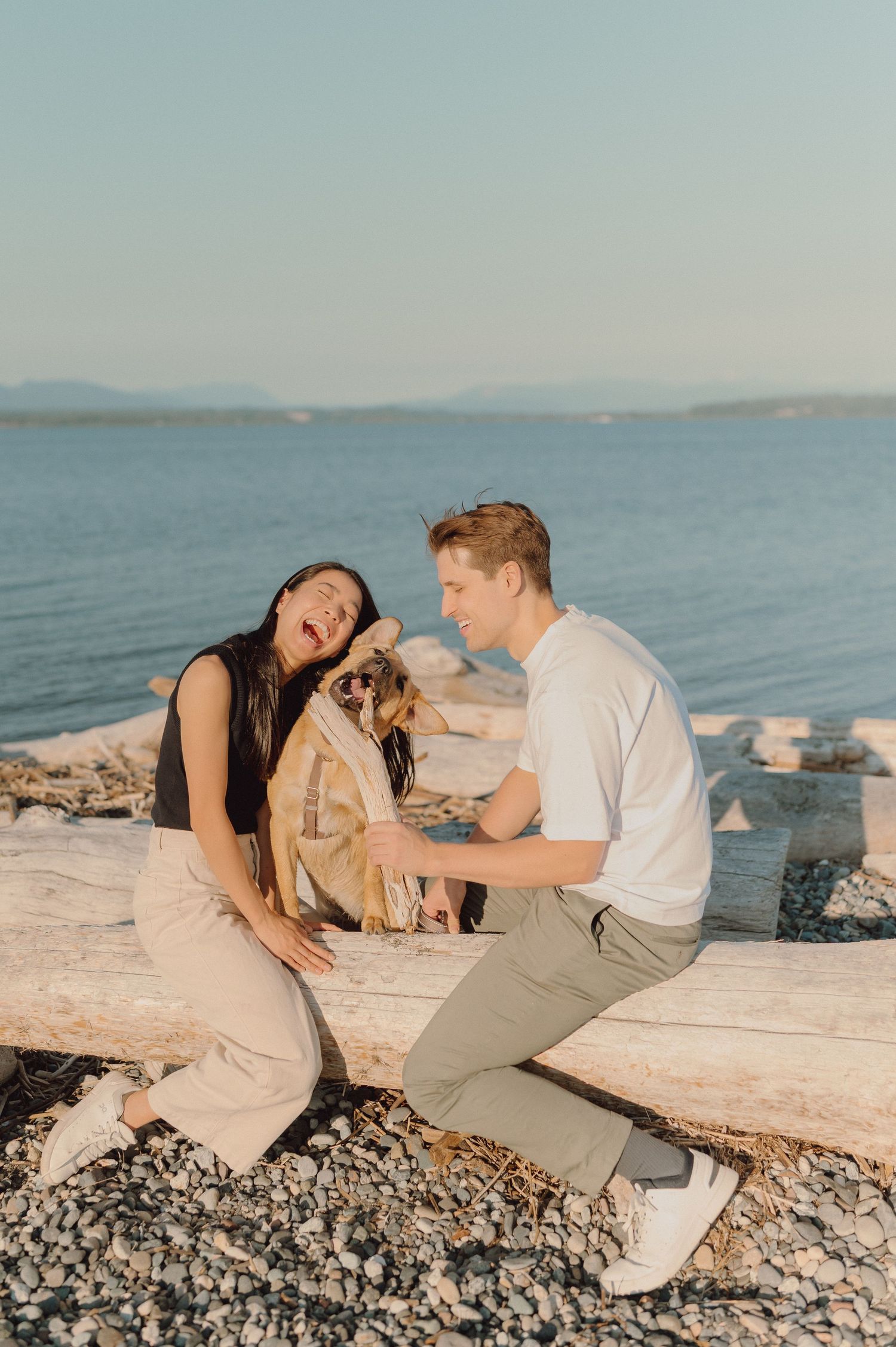 A couple laughing with their small dog while sitting on driftwood at a rocky beach during golden hour.
