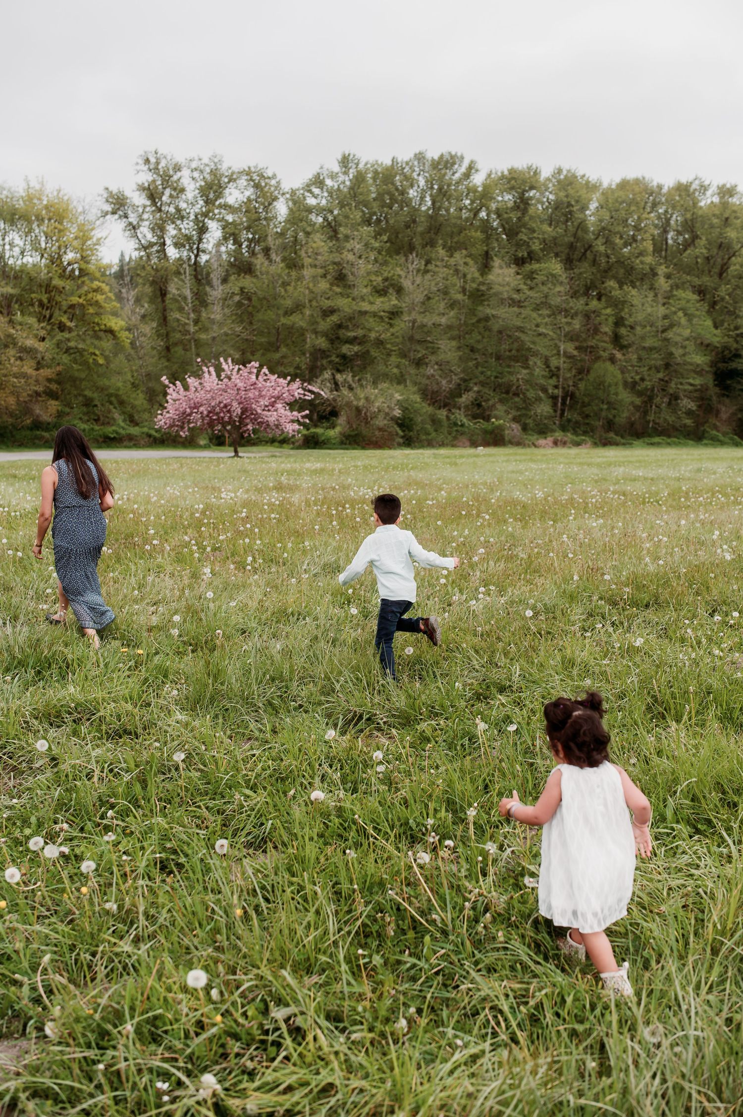 Three people run through a flowering meadow towards a blooming cherry tree on a spring day.