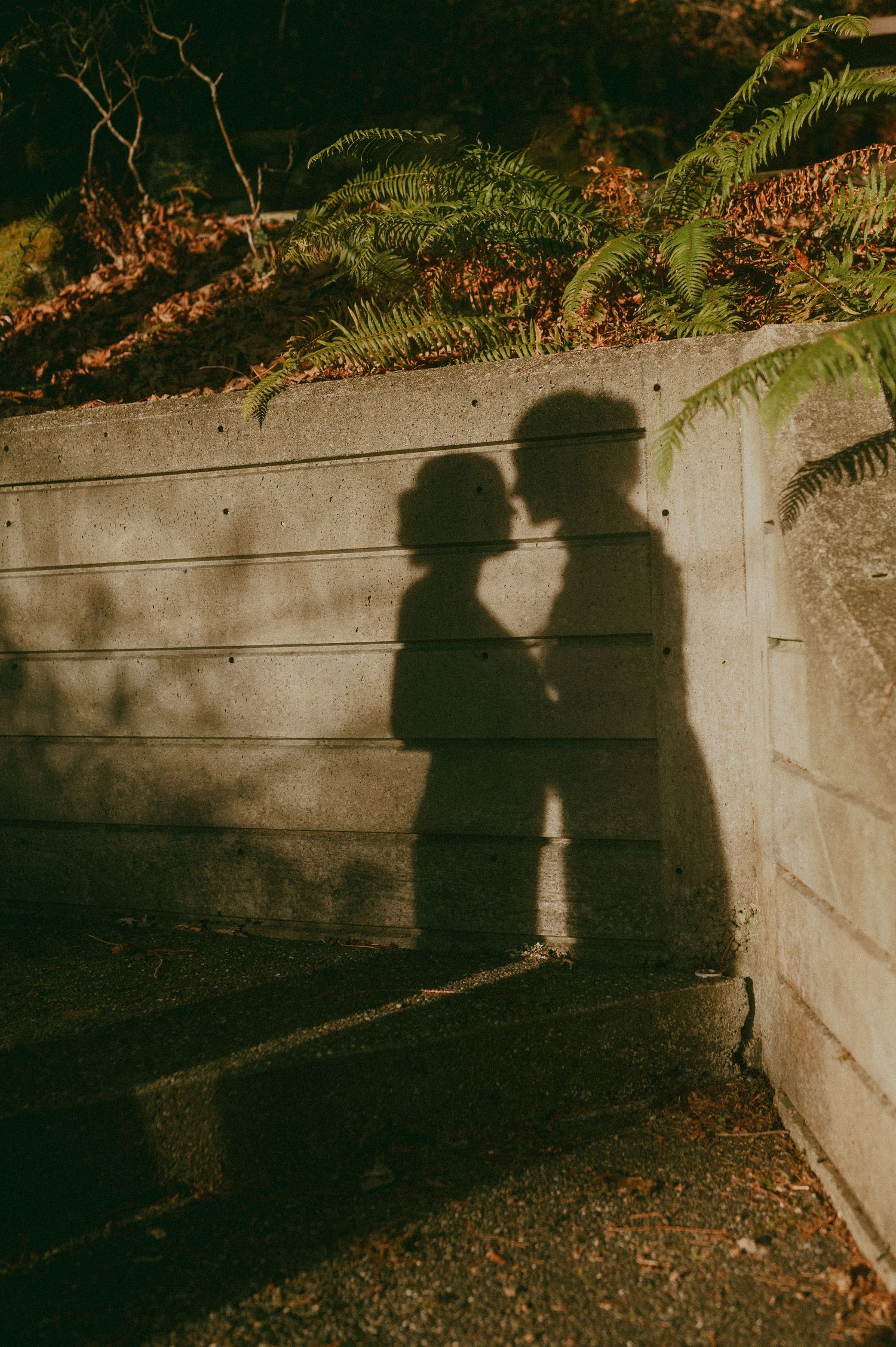 Romantic shadow silhouette of a couple against a concrete wall with ferns.