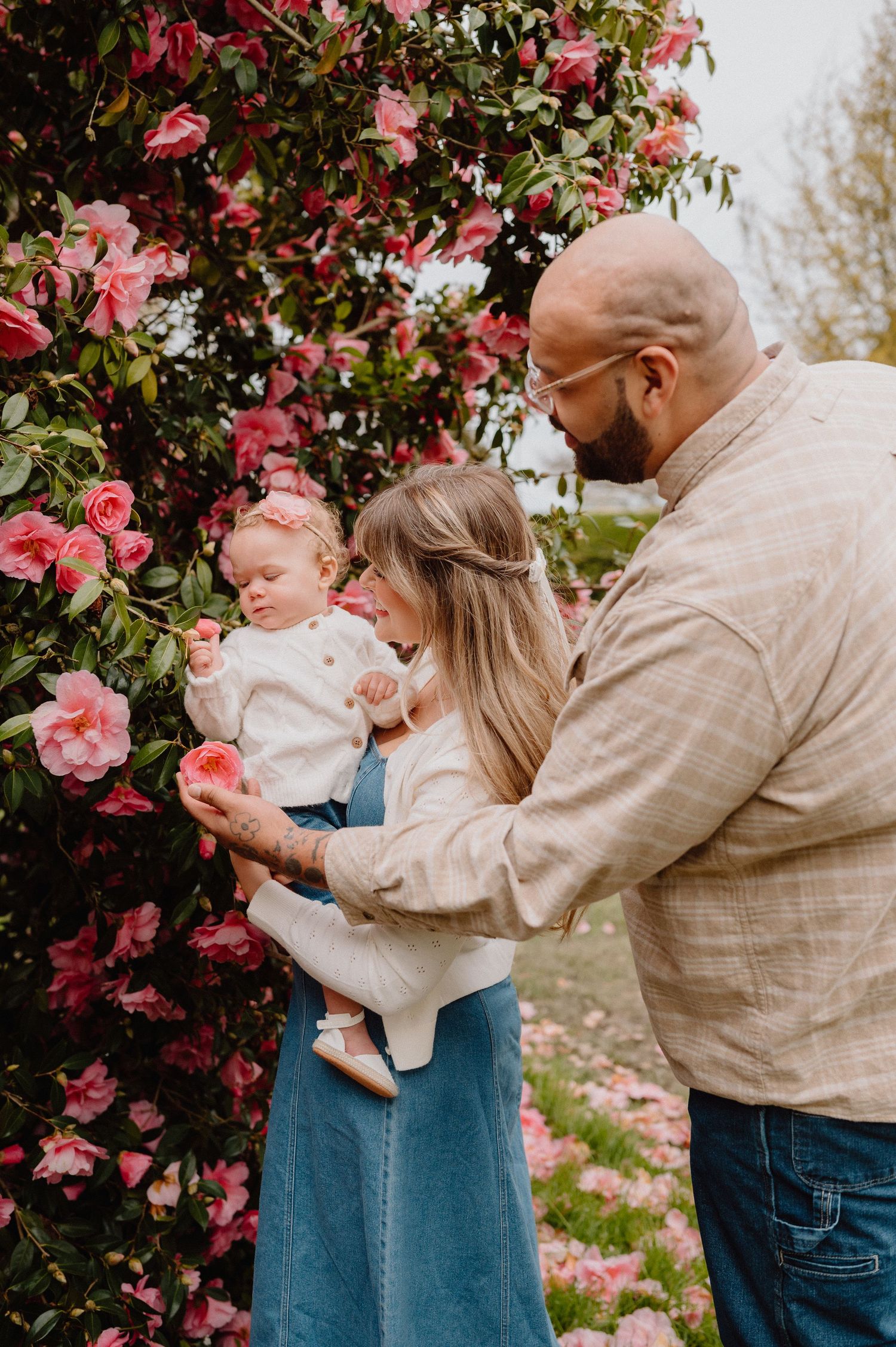 A family of three admires pink blooming roses, with parents holding their baby girl near a lush floral bush outdoors.
