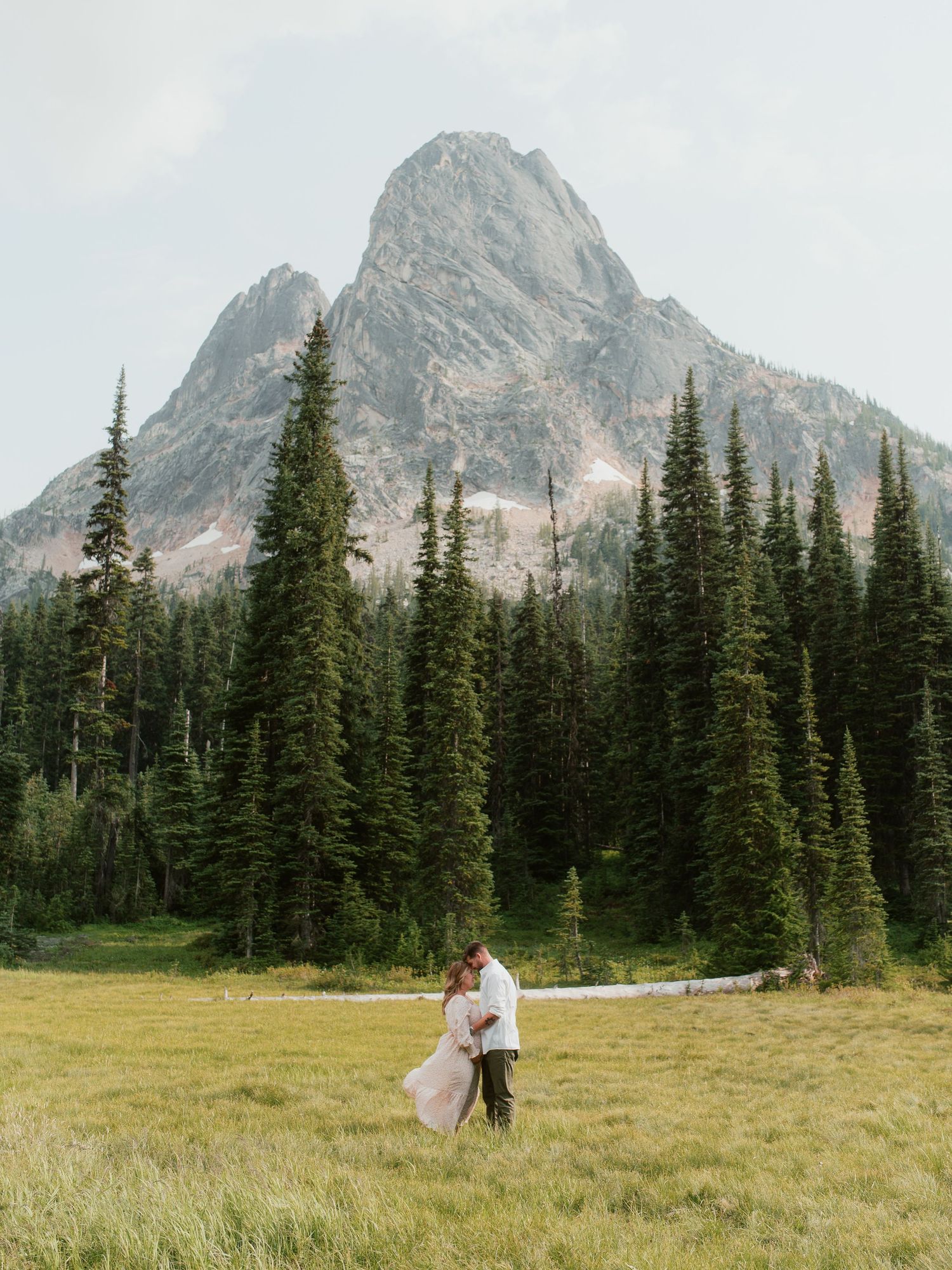 Scenic mountain landscape with evergreen forest and meadow featuring a dreamy outdoor photoshoot in the wilderness.