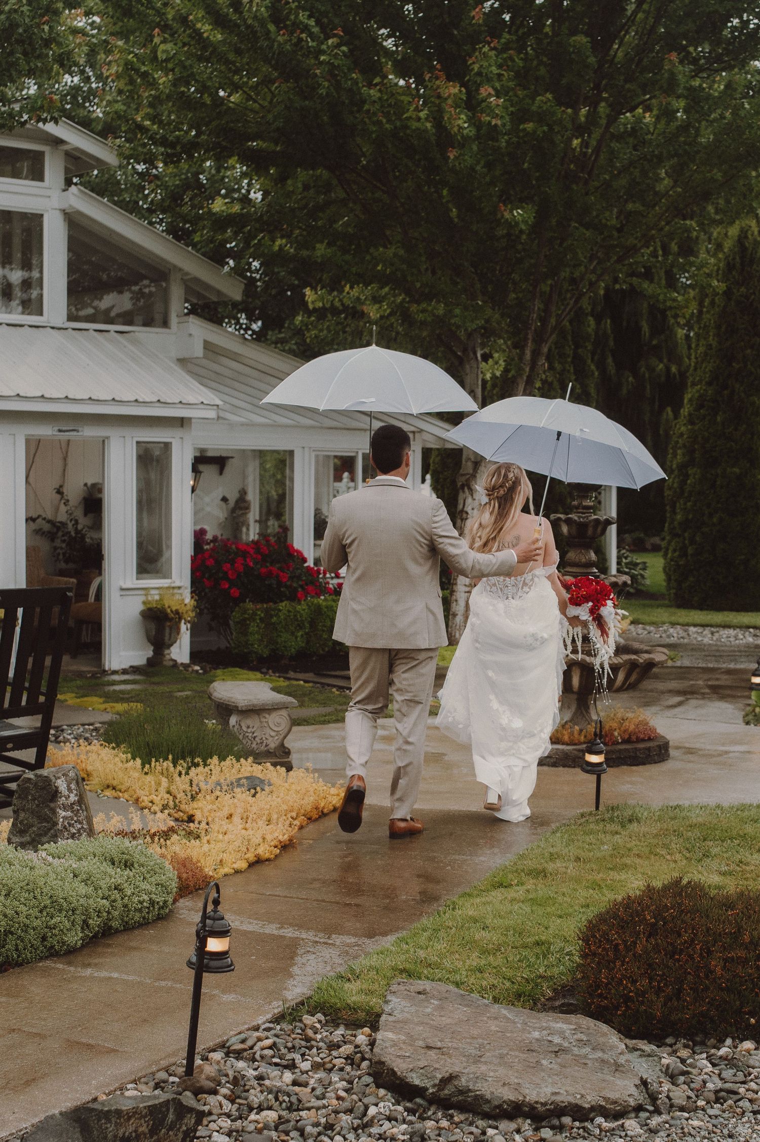 Wedding couple walks under white umbrellas on a rainy day along garden path near white building with red flowers.