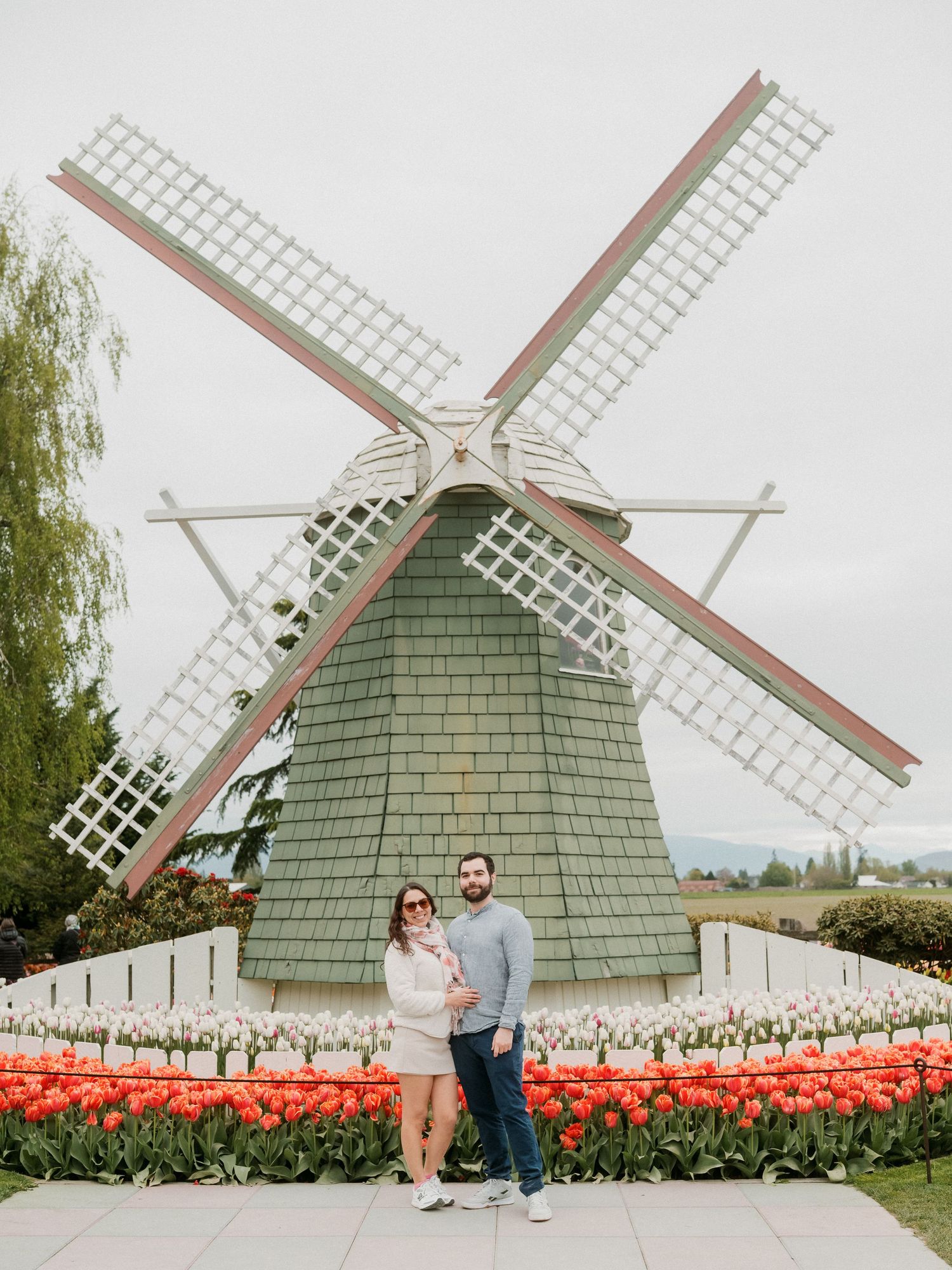 Dutch-style windmill with green shingles and vibrant red tulip gardens in front of it during springtime.