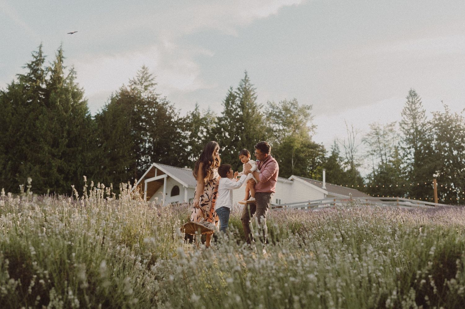 A family walking together through tall grass at sunset with trees in the background.