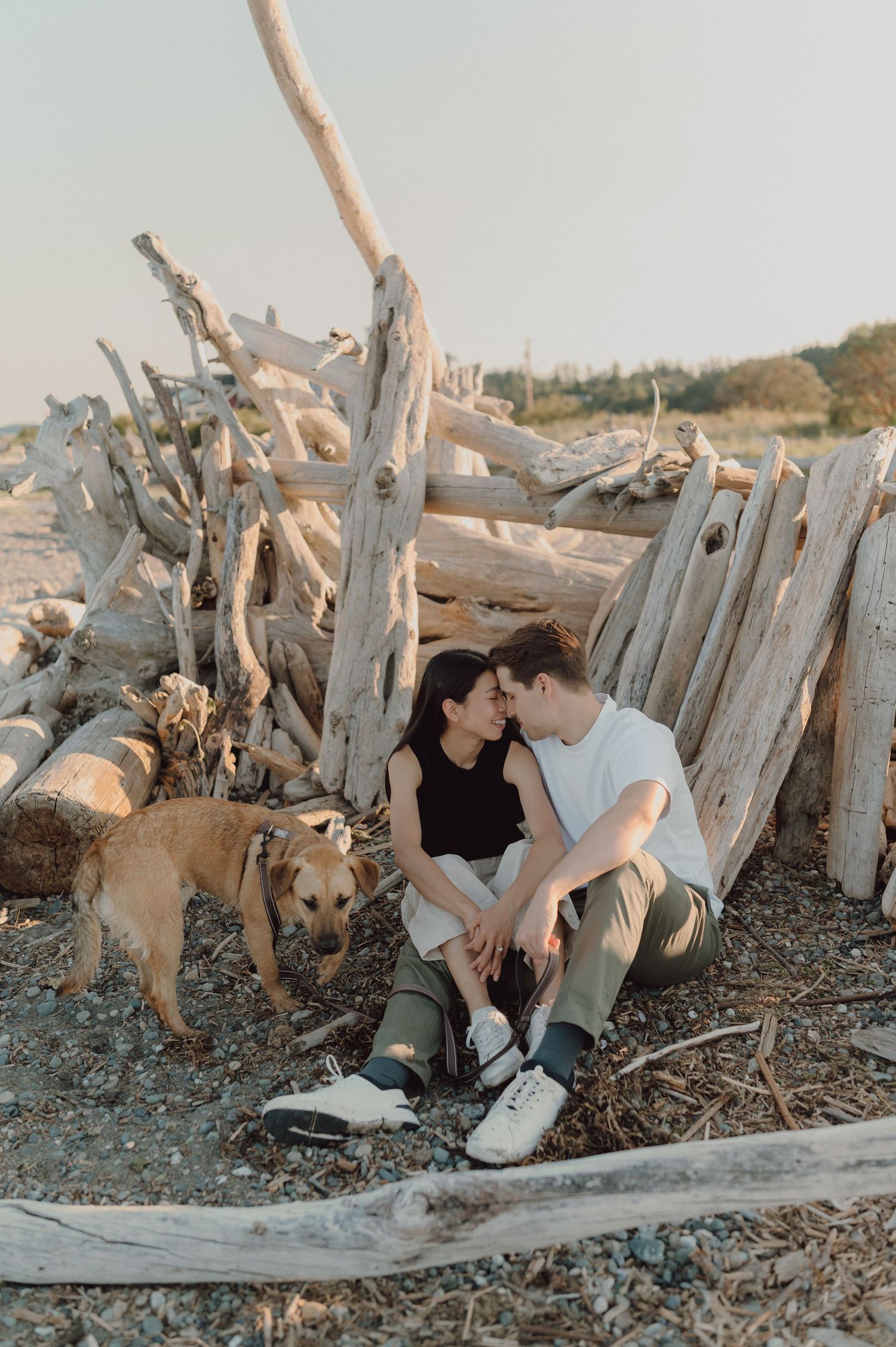 Couple sitting together near driftwood on a rocky beach with a brown dog beside them at sunset.