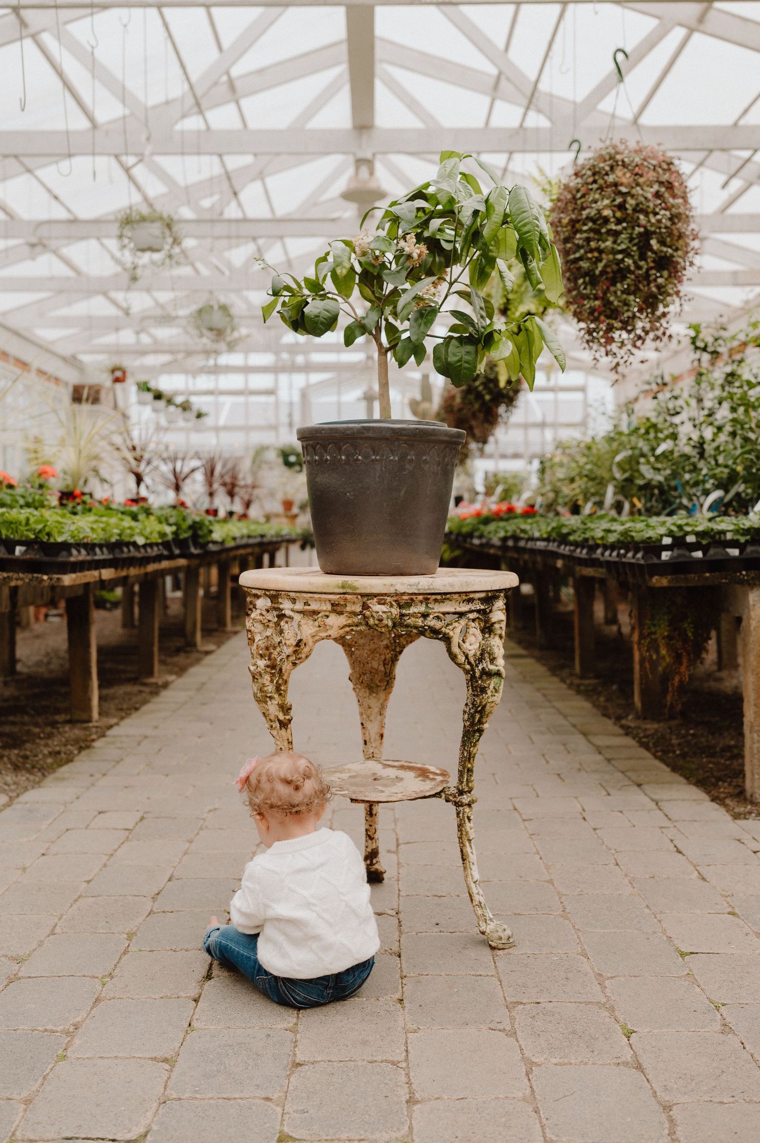 A toddler sits on a greenhouse floor beside a vintage ornate table holding a potted plant, surrounded by lush greenery.