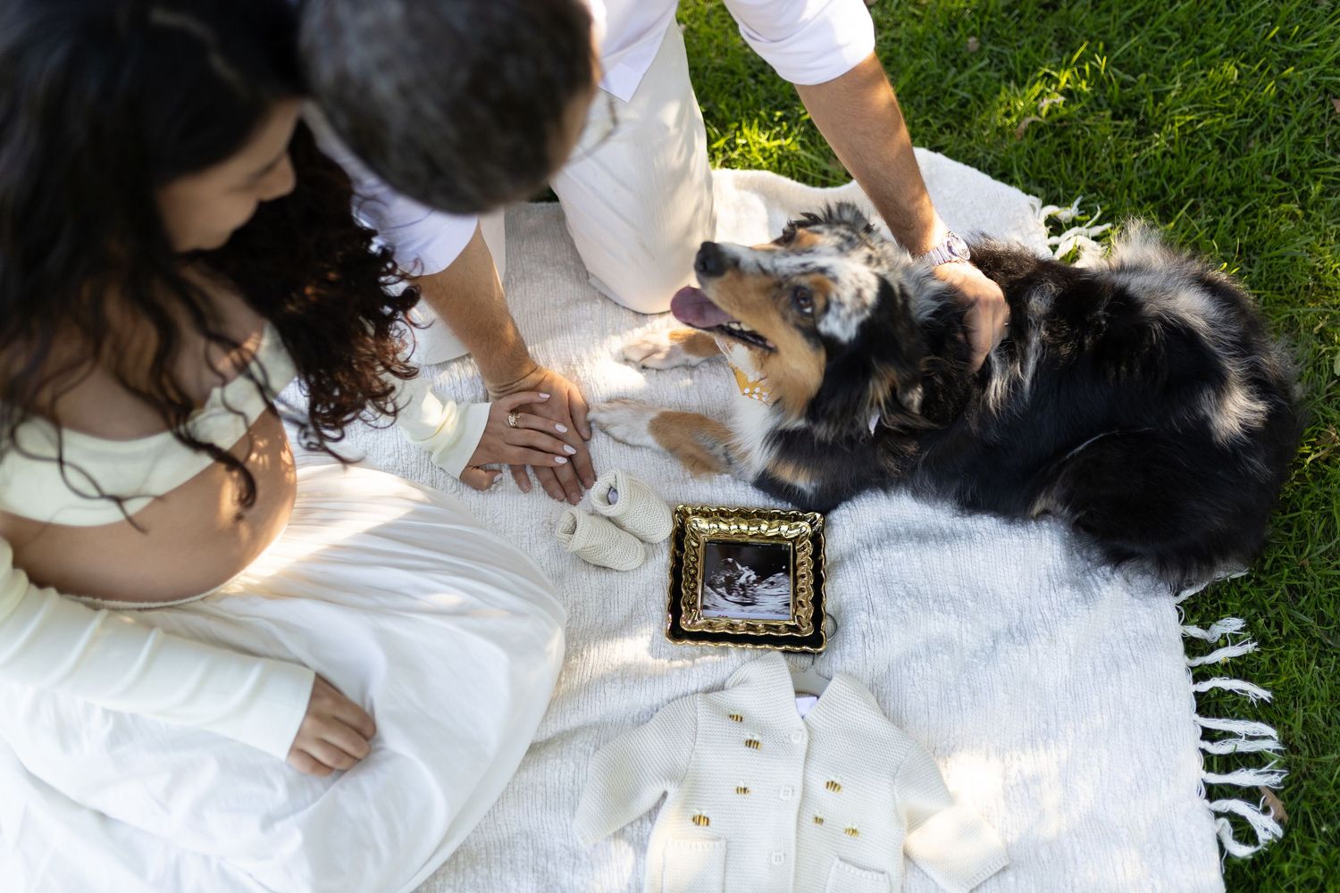 A group sits on a white blanket having a picnic outdoors with wine glasses and snacks on a sunny day.