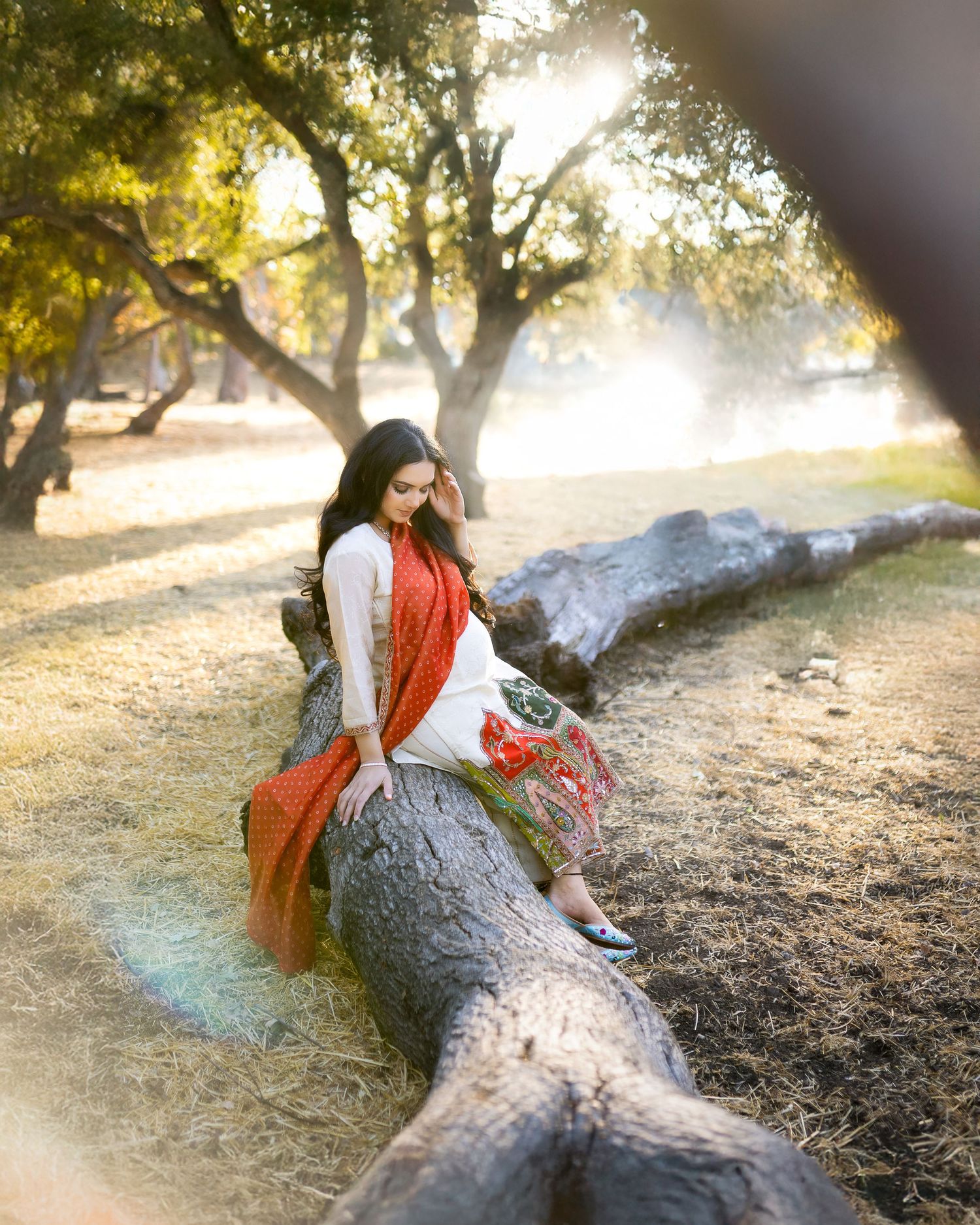 A person in a red sweater sits on a fallen tree trunk in a sunlit forest during golden hour.