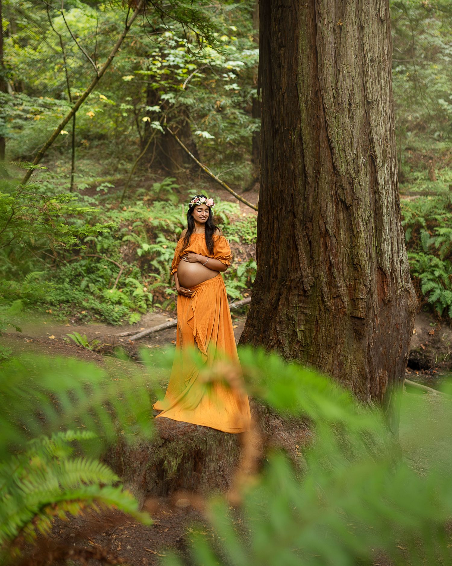 A figure in a flowing orange dress poses gracefully among towering redwood trees in a lush forest setting.