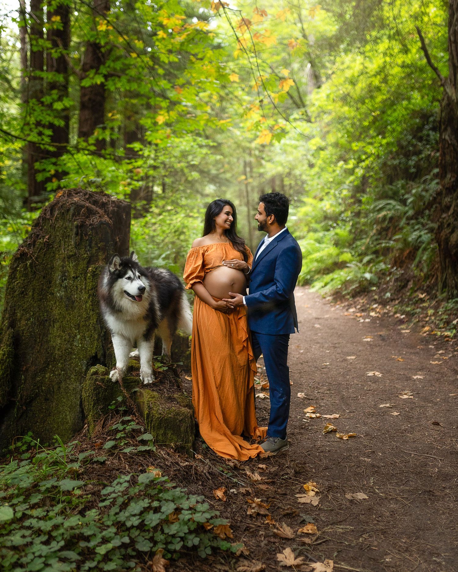 A couple and their husky dog pose together on a forest trail surrounded by lush greenery and fallen leaves.