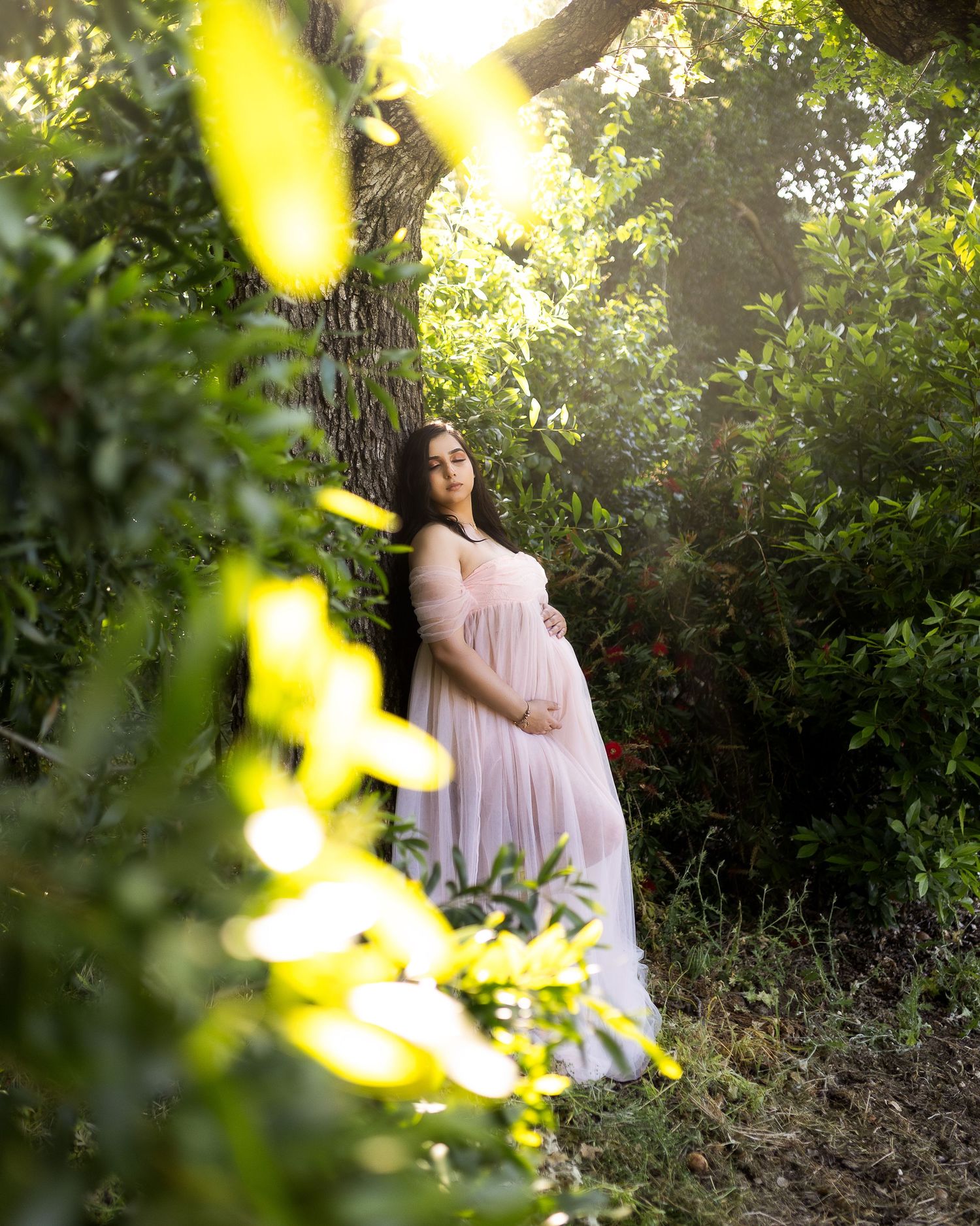 A dreamy maternity photo session in a sunlit wooded area with soft golden light filtering through the trees.