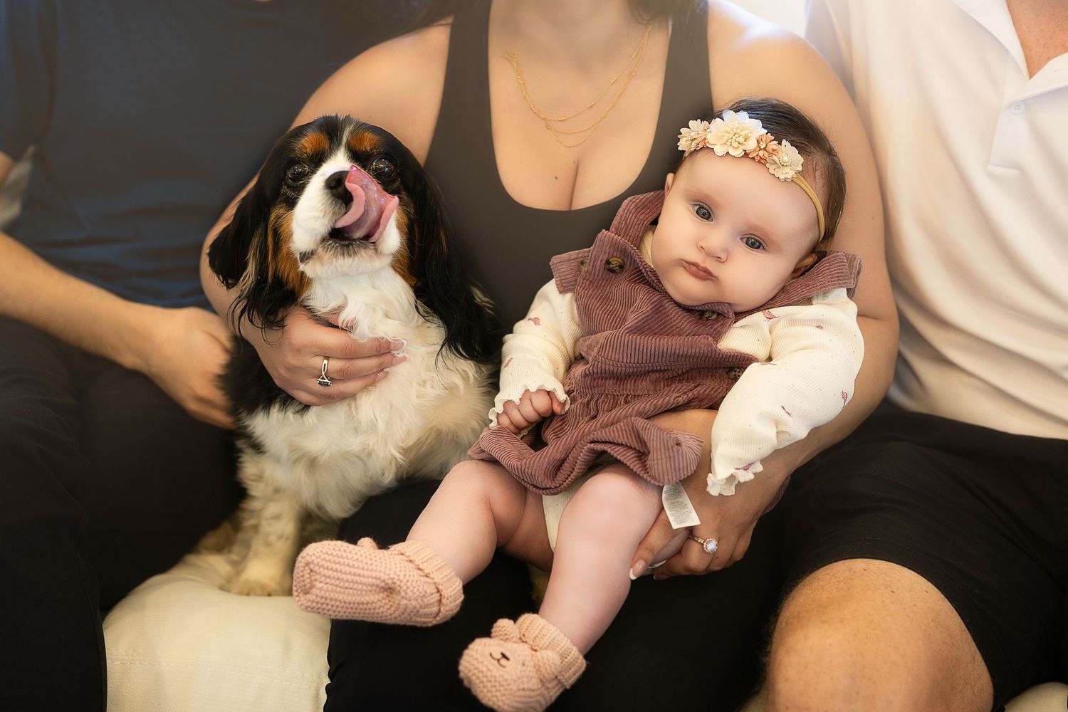 A series of six connected photos showing a baby and dog interacting playfully together.