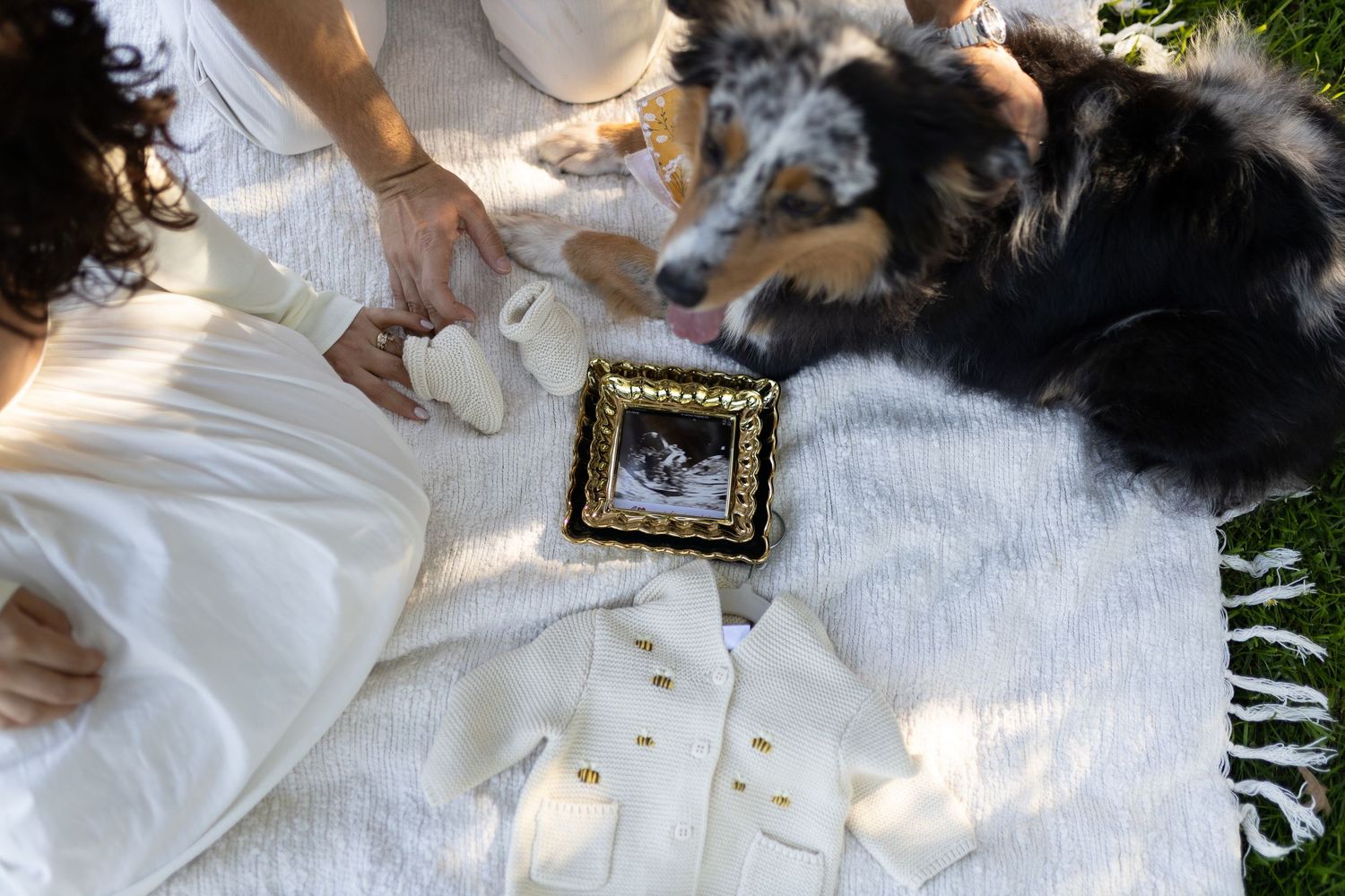 A dog lies on a white blanket next to a small framed photo during a sunny outdoor moment.