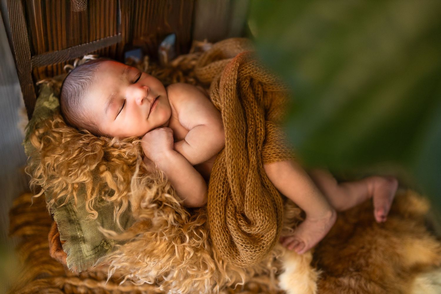 A sleeping baby rests peacefully in a natural outdoor setting with warm lighting and wooden elements.