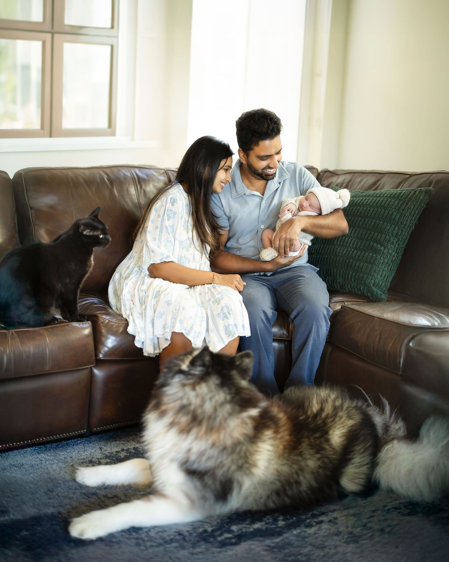 A fluffy Keeshond dog rests on a brown leather couch while people sit nearby in a living room setting.