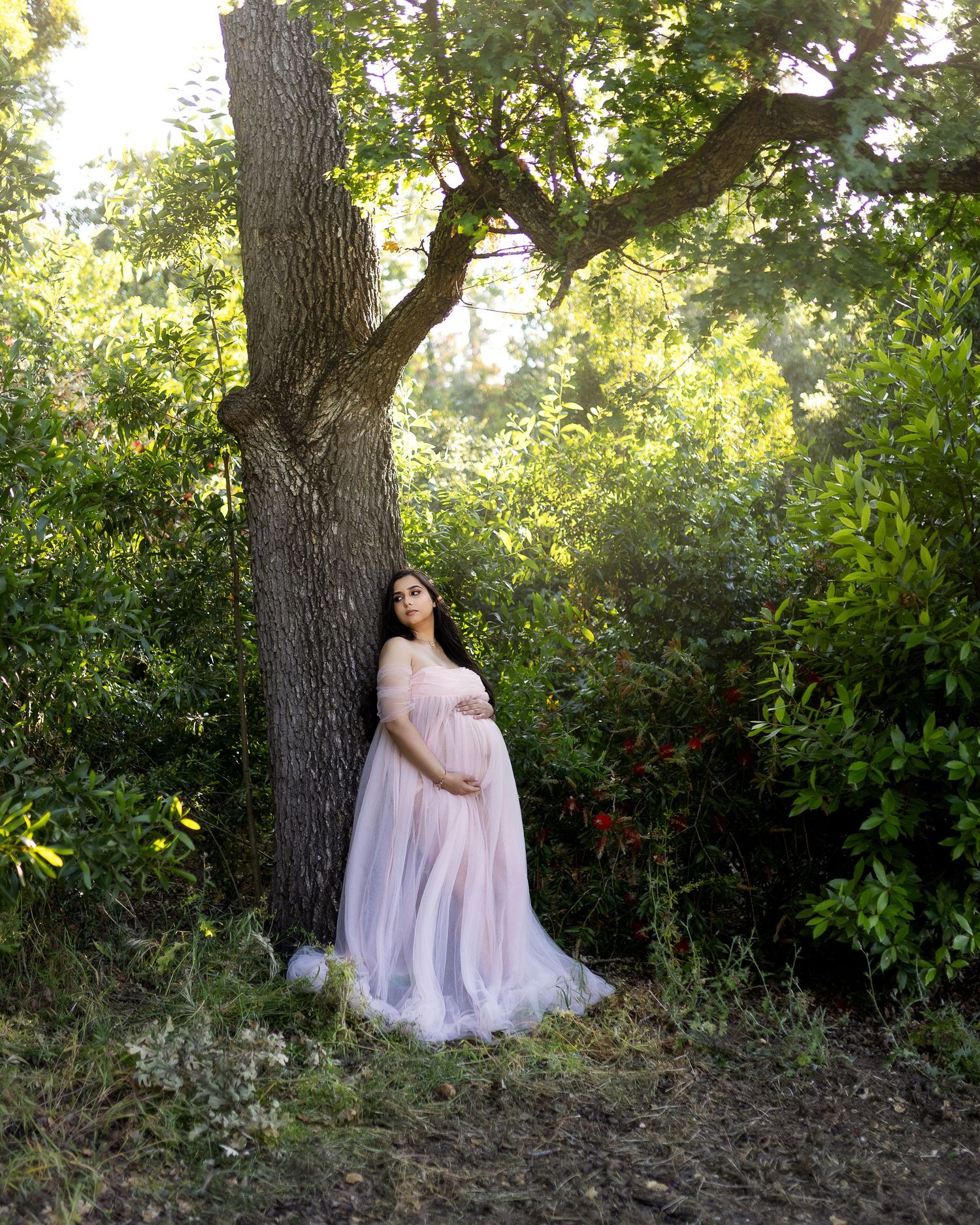A dreamy outdoor photo session in a sunlit wooded area with soft pink tulle dress against natural greenery and trees.