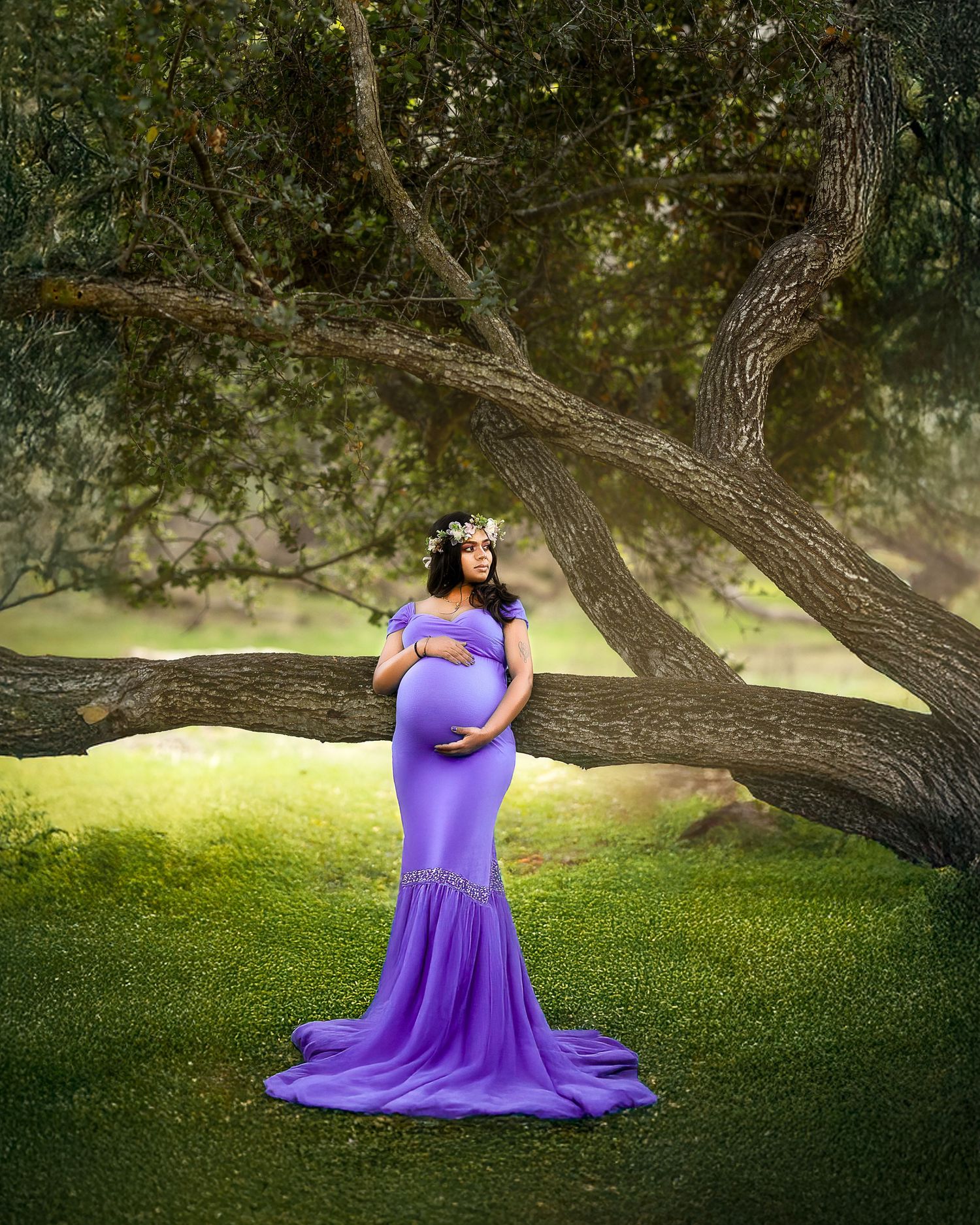 A flowing purple maternity dress creates an elegant silhouette against lush grass beneath twisted oak tree branches.