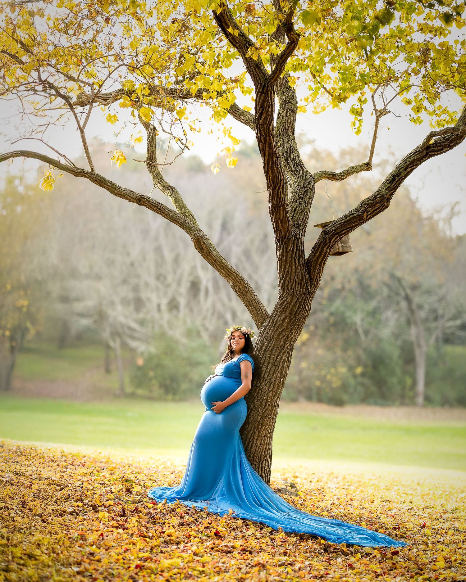 A person in a flowing bright blue dress poses gracefully under a tree with golden autumn leaves on the ground.