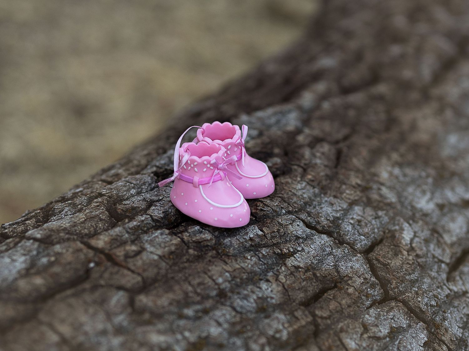 Small pink baby booties placed on a textured stone or rock surface in a natural outdoor setting.