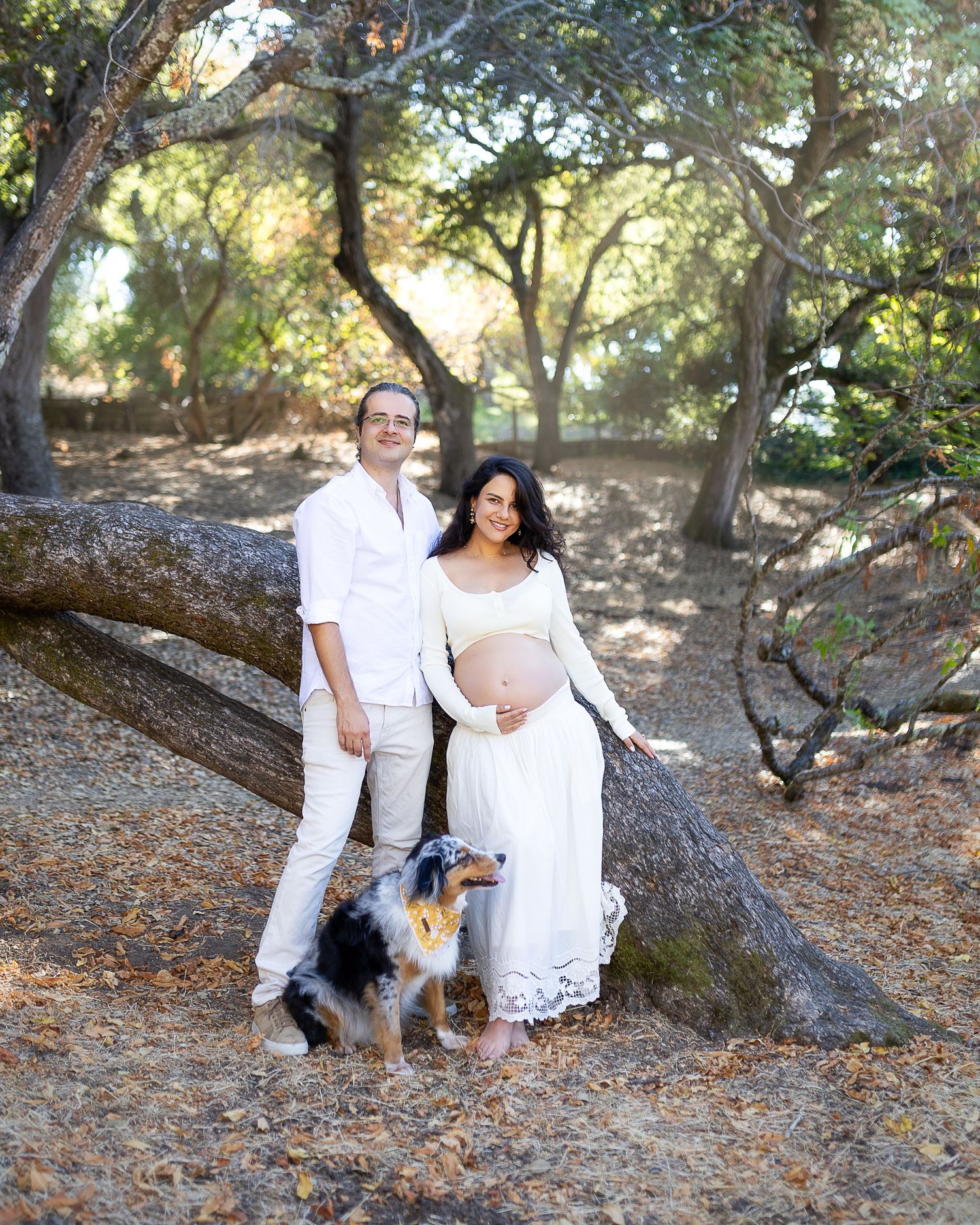 A couple in white outfits sits together under trees on fallen autumn leaves in a romantic outdoor photoshoot.