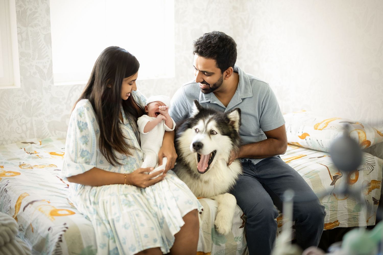 A couple sits on a couch playing and bonding with their happy Husky dog in a series of candid moments.