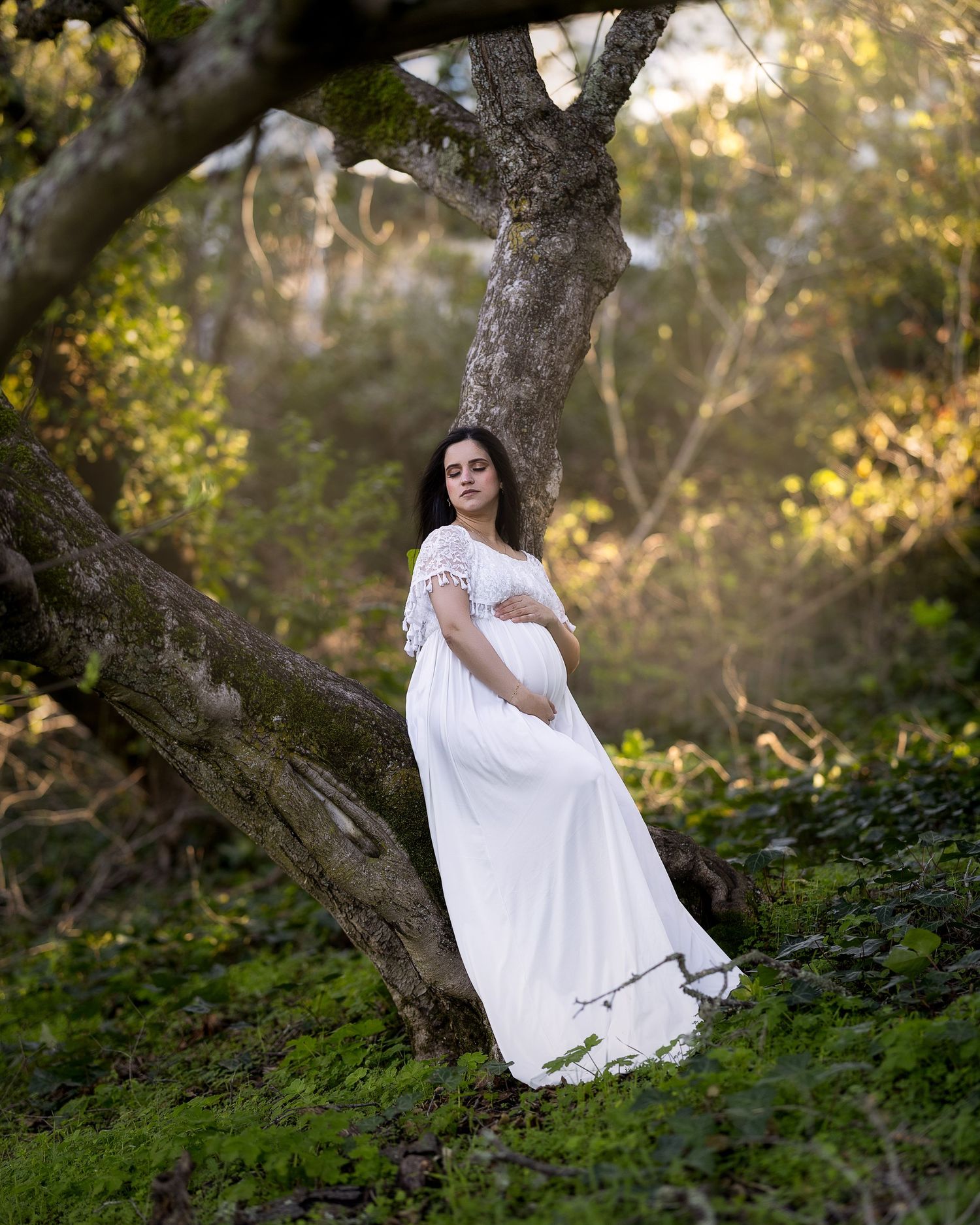 Sunlit woodland scene with white-dressed figure perched gracefully among twisted tree branches.