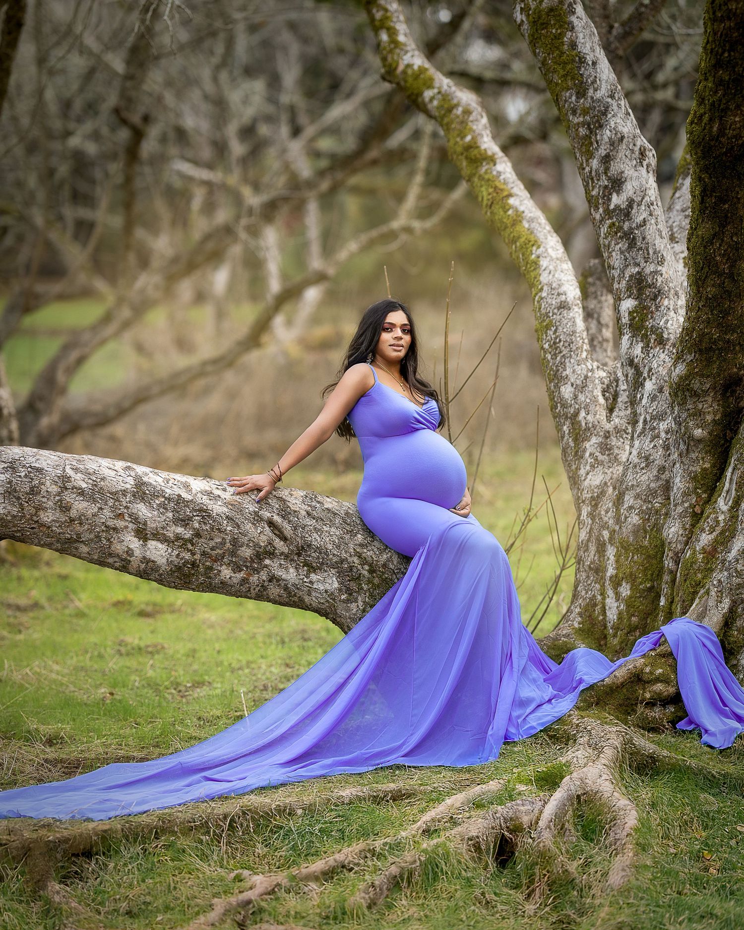A flowing purple maternity dress drapes elegantly across mossy tree branches in a dreamy outdoor photo session.