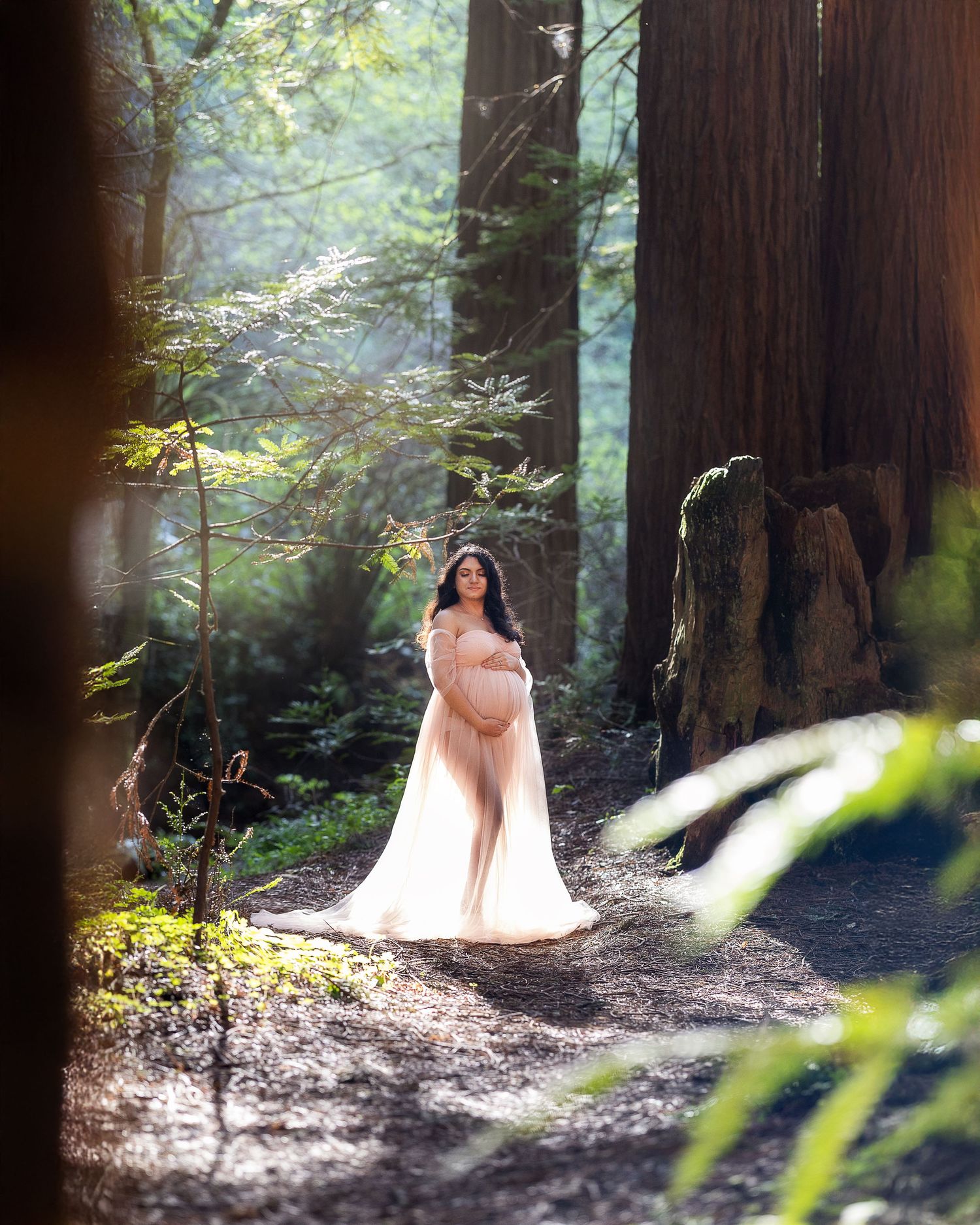 Ethereal maternity photoshoot in a sunlit redwood forest with soft light filtering through the trees.