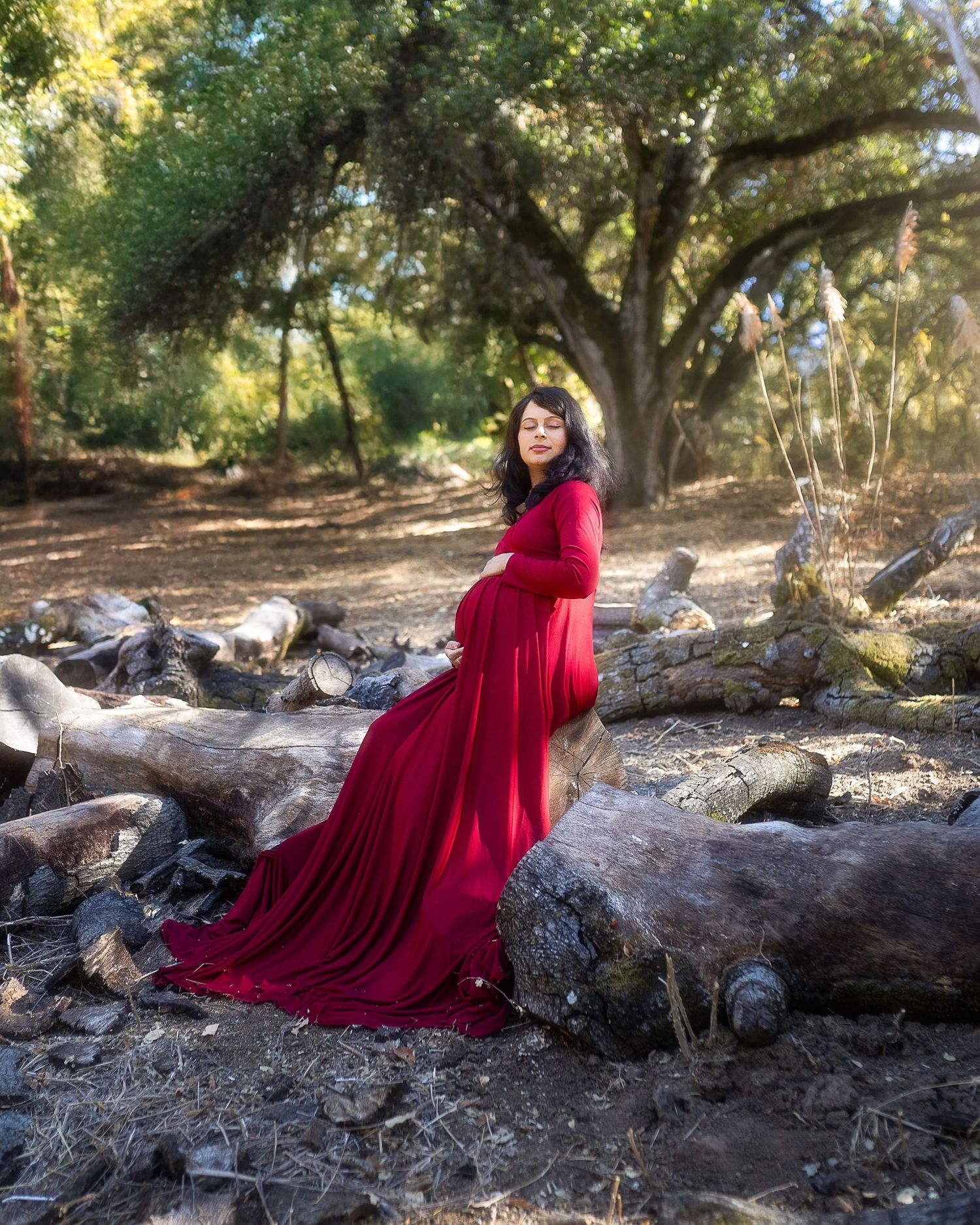 A figure in a flowing red dress poses dramatically on fallen logs in a sunlit forest setting.