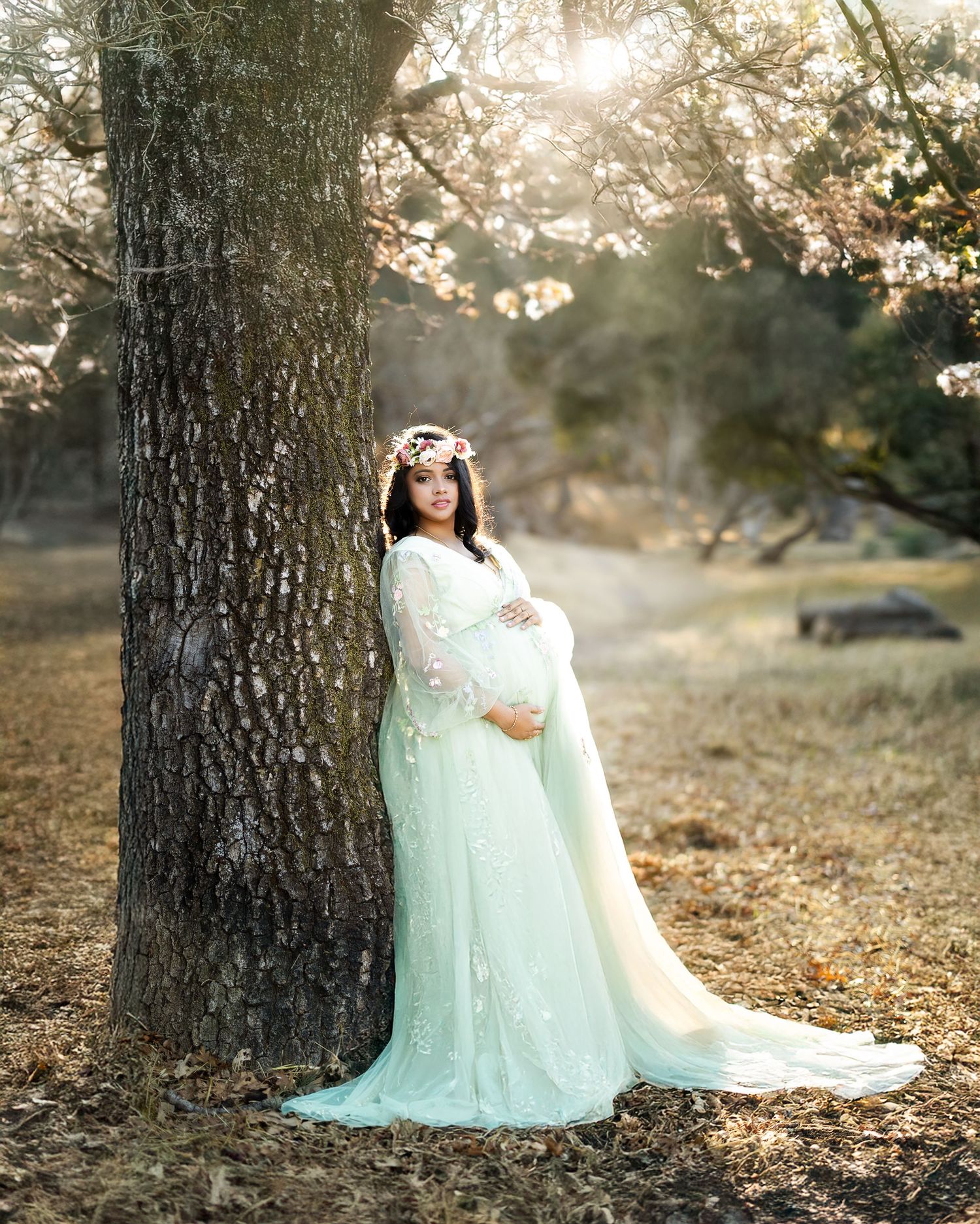 A dreamy outdoor portrait session features a flowing mint green gown against a rustic tree backdrop at sunset.