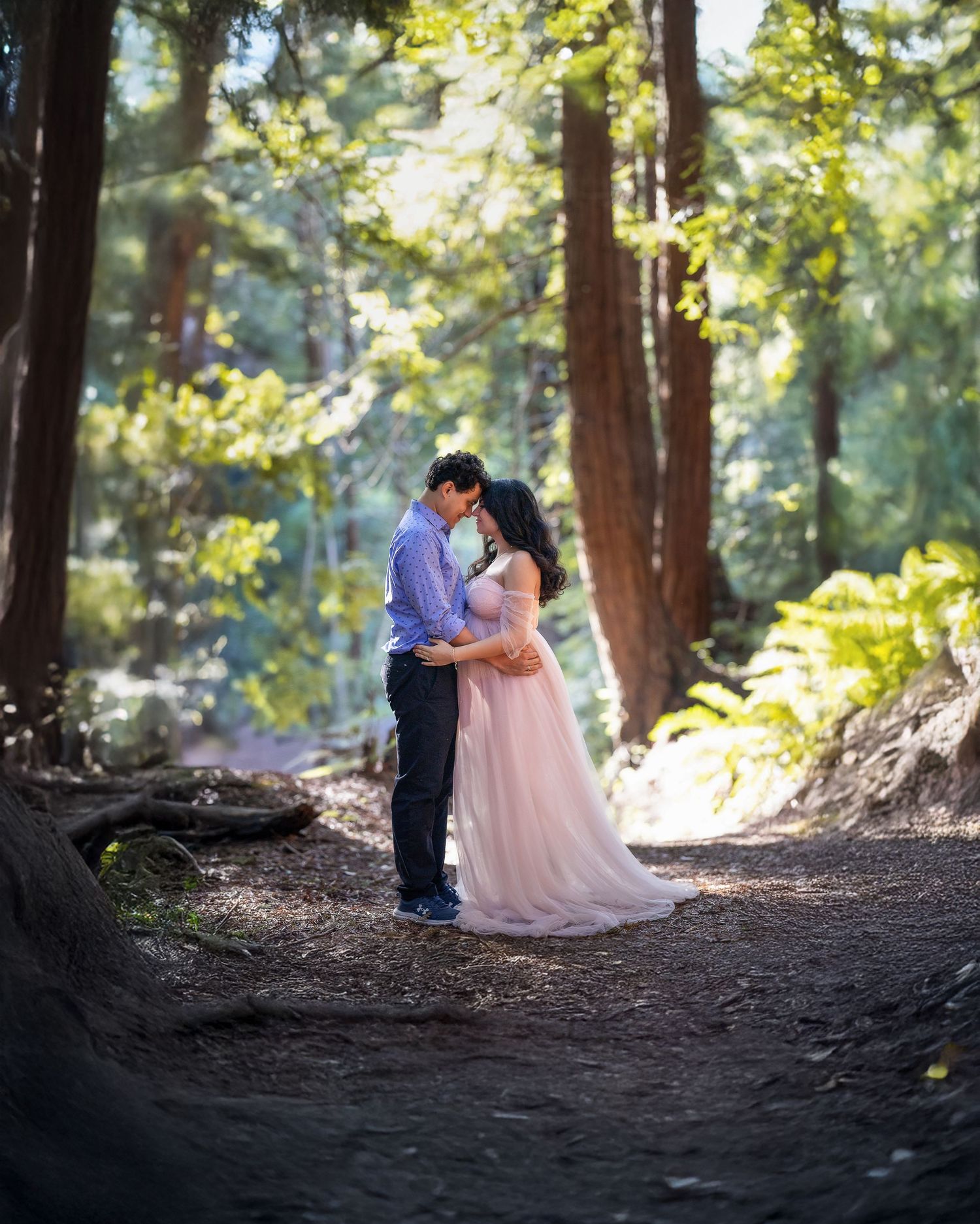 A romantic couple embraces in a sunlit forest setting surrounded by tall evergreen trees.