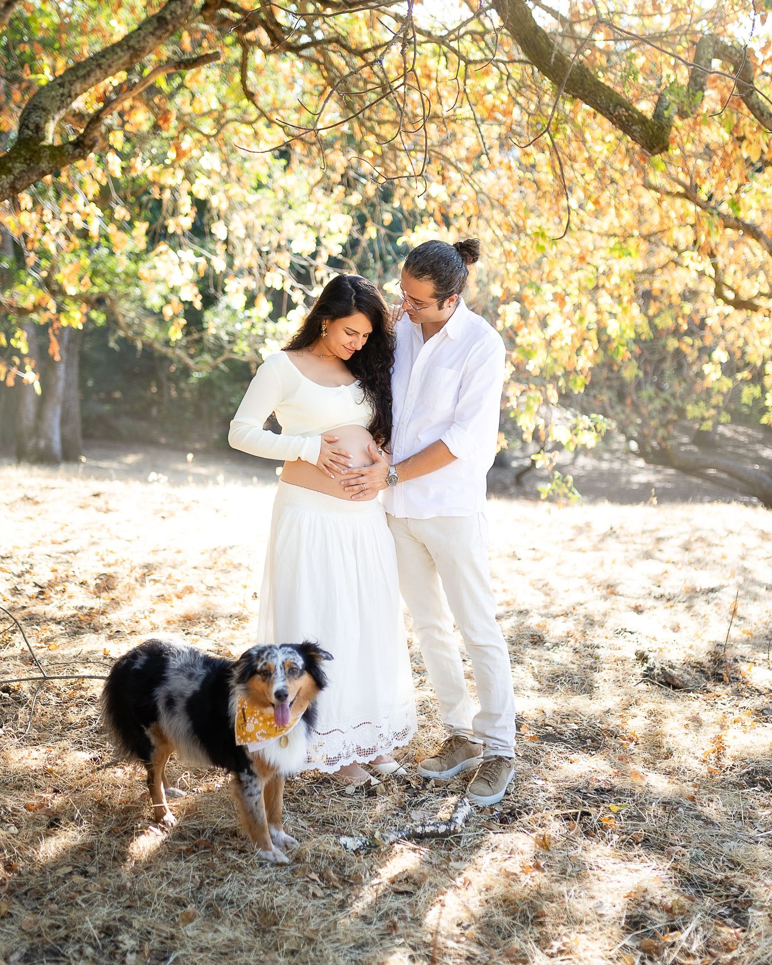 A couple in white clothing poses outdoors with their Australian Shepherd dog under autumn trees with golden leaves.