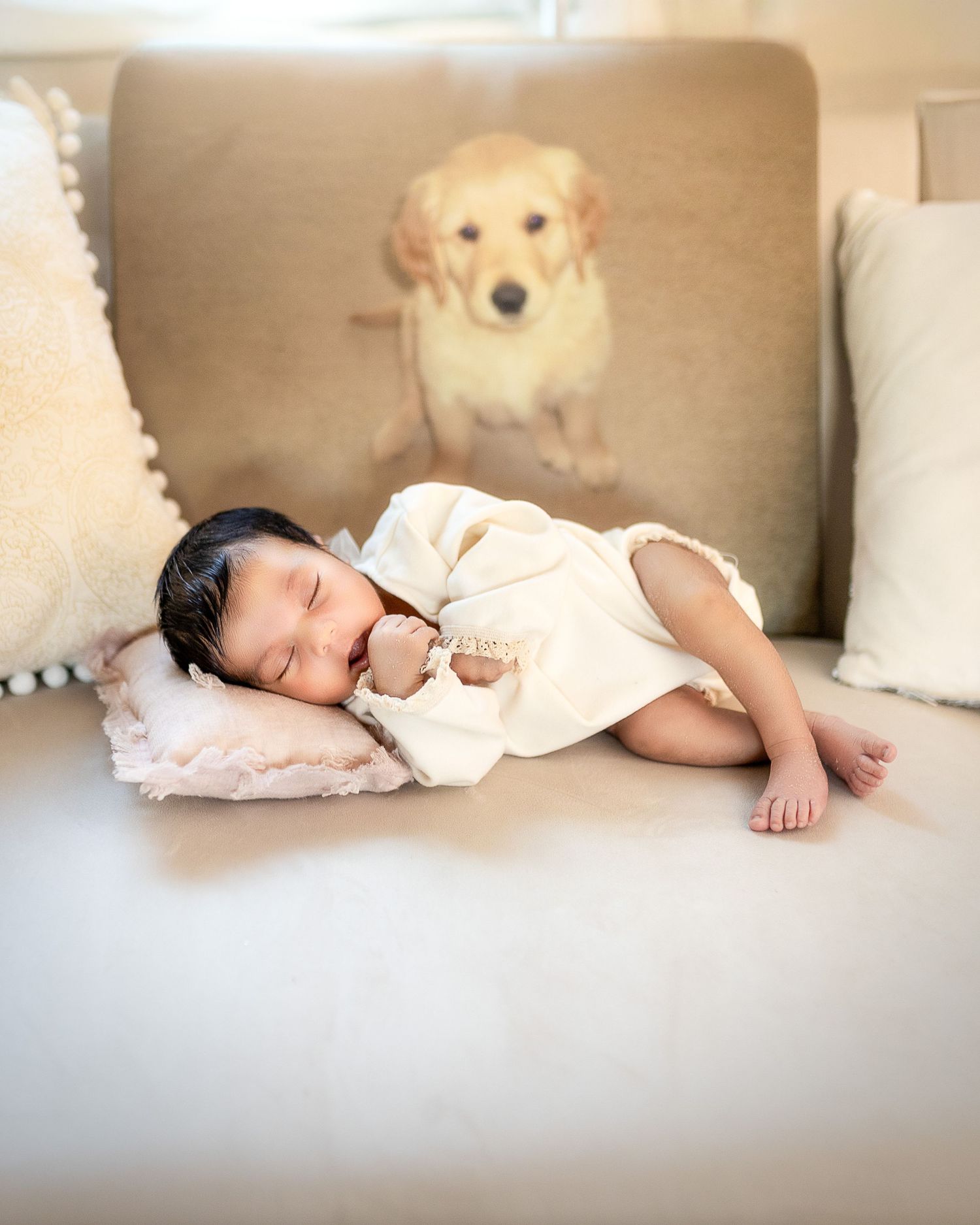 A peaceful scene of someone sleeping on a couch with plush white pillows and stuffed animals.