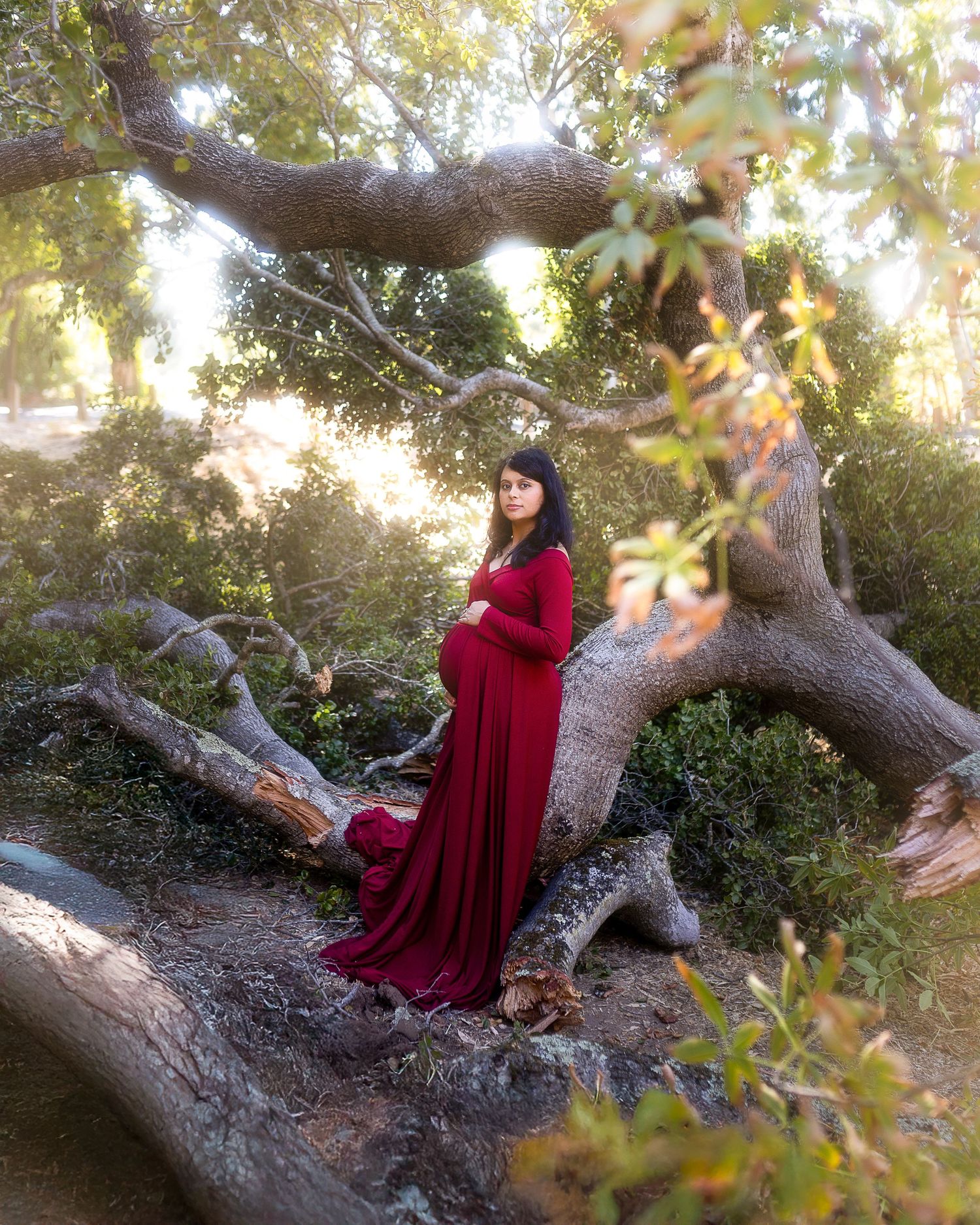A person in a flowing burgundy dress poses gracefully on a gnarled tree branch in a sunlit woodland setting.